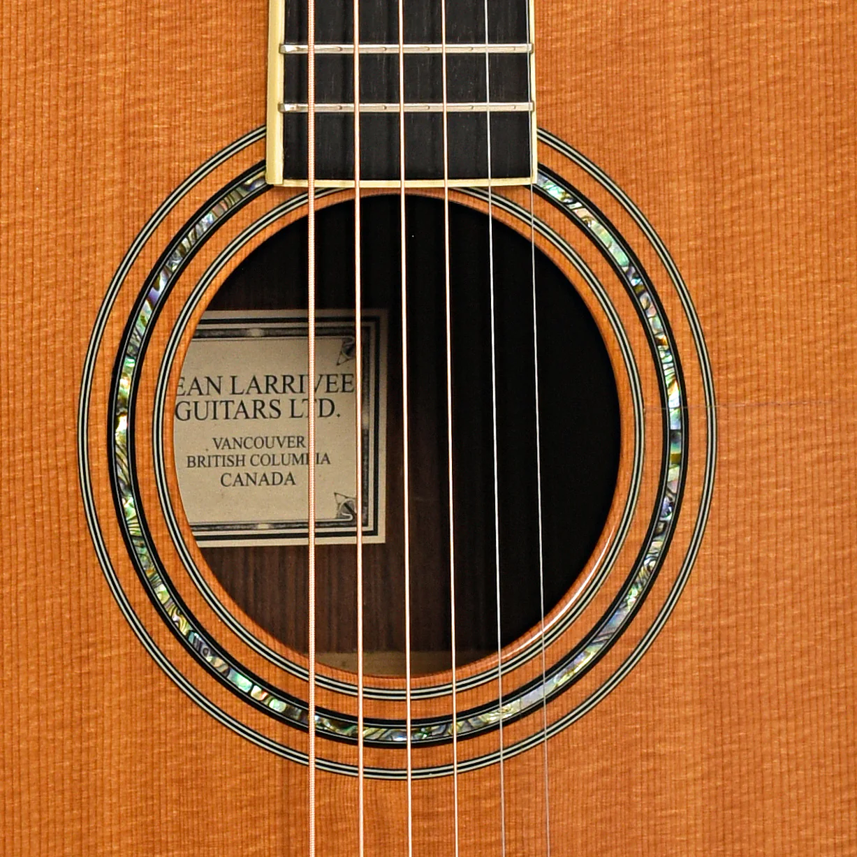 Larrivee D-10 Brazilian Acoustic Guitar (1998) - Image 7