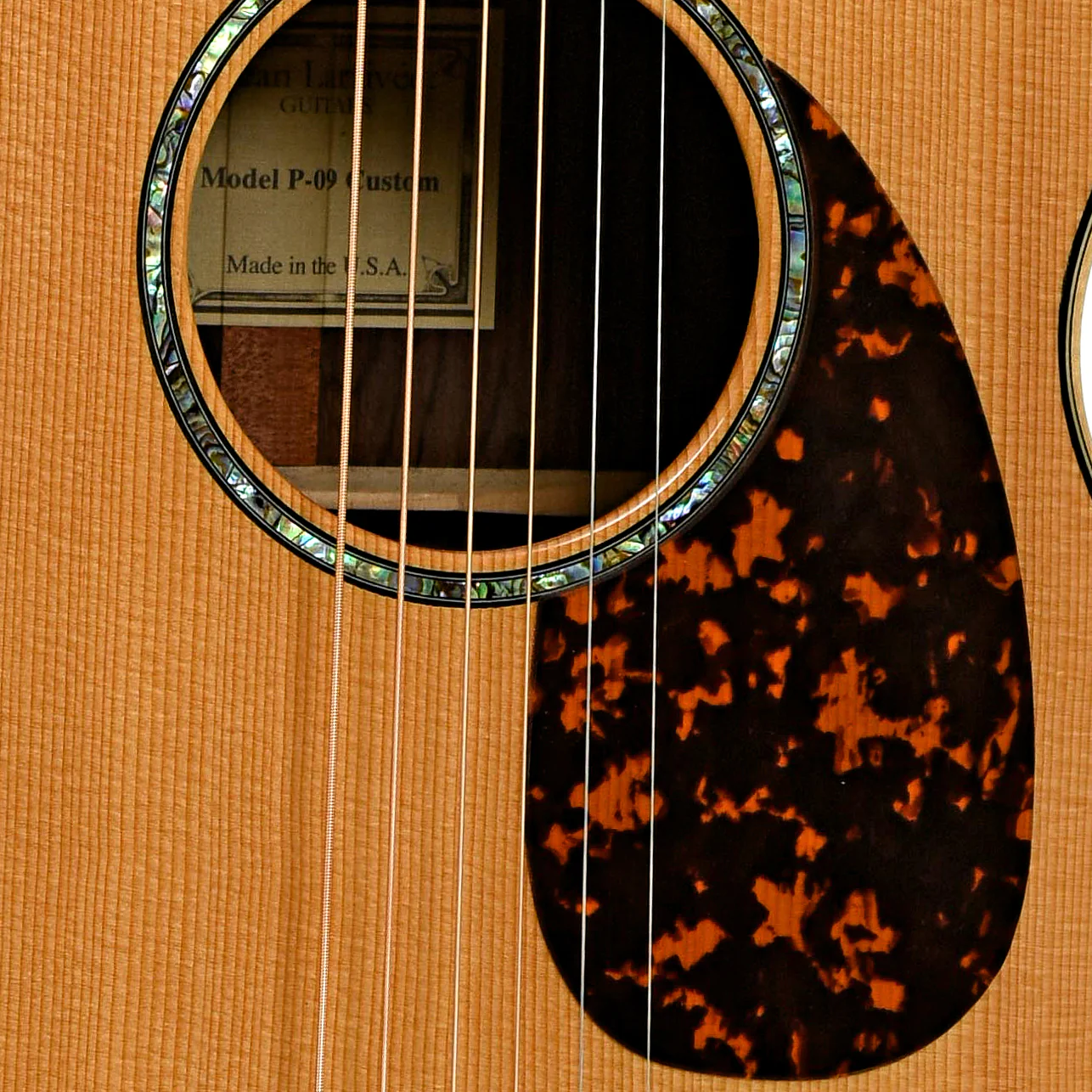 Larrivee P-09 BZ Custom Brazilian Rosewood Acoustic Guitar (2010) - Image 6