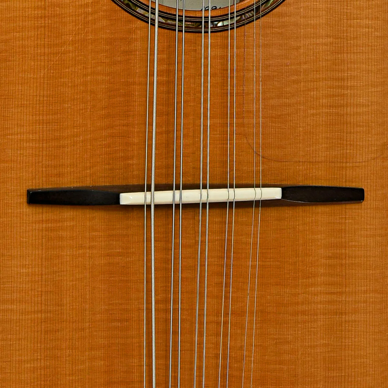 Grit Laskin 10-String Tenor Mandolin (1991) - Image 5