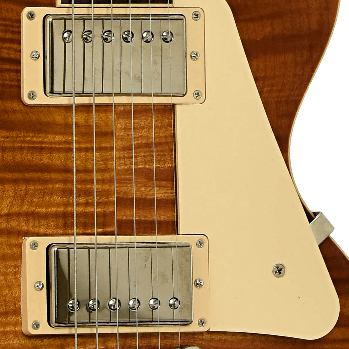 Gibson Les Paul Standard '60s Electric Guitar (2024) - Image 6