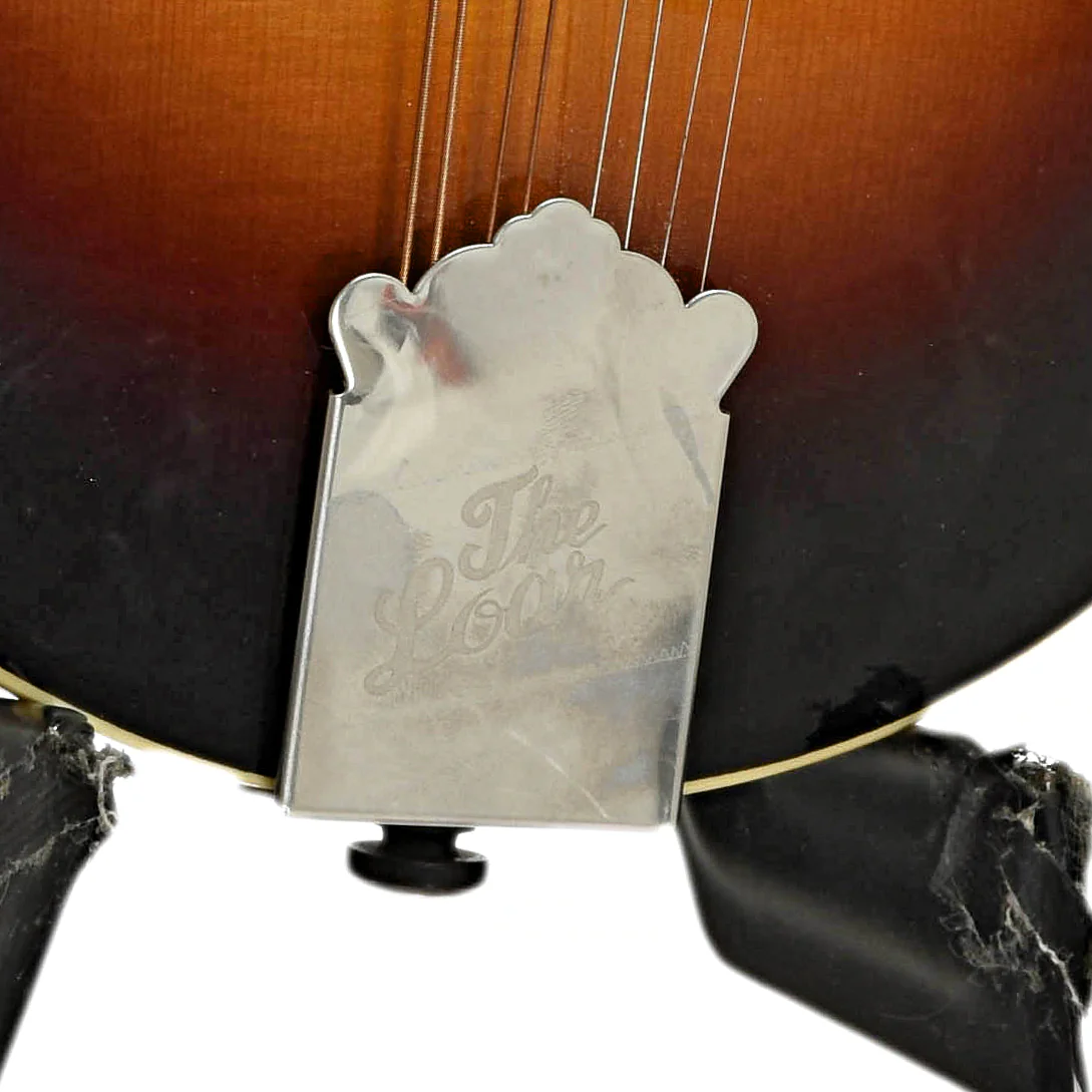 Loar LM-520-VS Performer F-Style Mandolin (2017) - Image 5