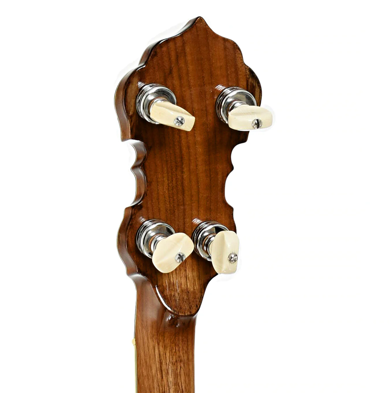 Louzee / Hopkins Mike Longworth Resonator Banjo (2017) - Image 8