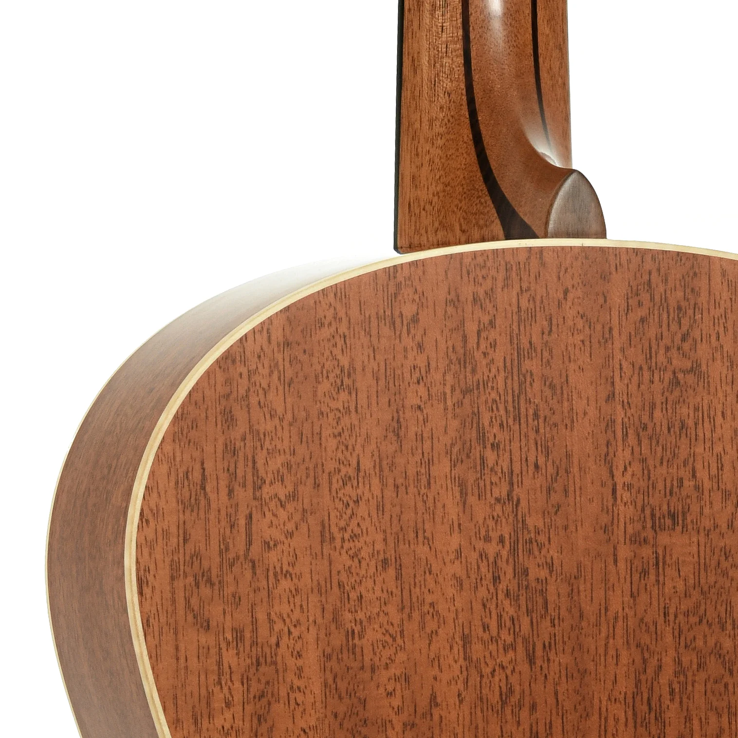 Lowden F-22 Small Jumbo Acoustic Guitar (2025) - Image 10