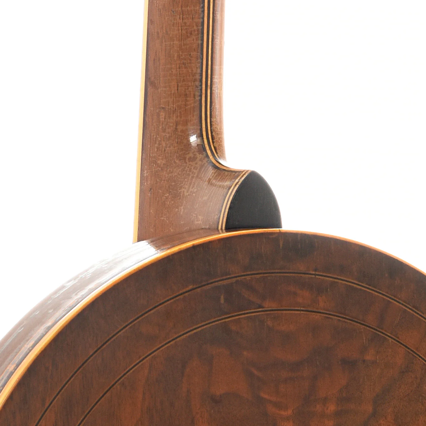 Ludwig Riviera Plectrum Banjo (1920s) - Image 12