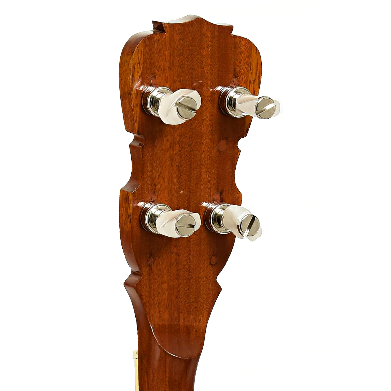 Madeira BA-5 Resonator Banjo (1970s) - Image 9