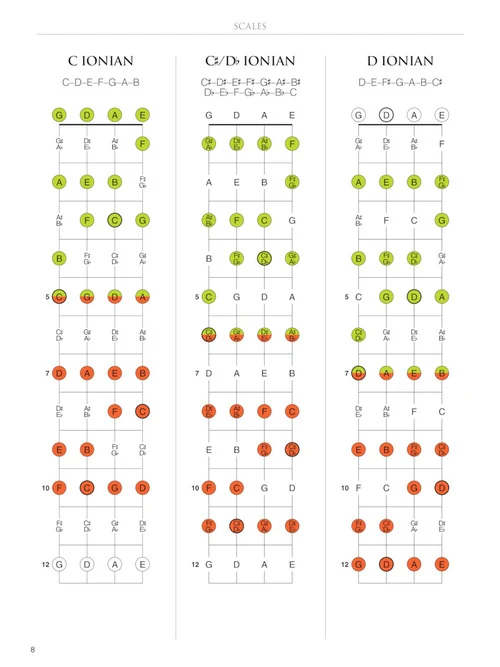 Mandolin Fretboard Atlas - Get a Better Grip on Neck Navigation - Image 5