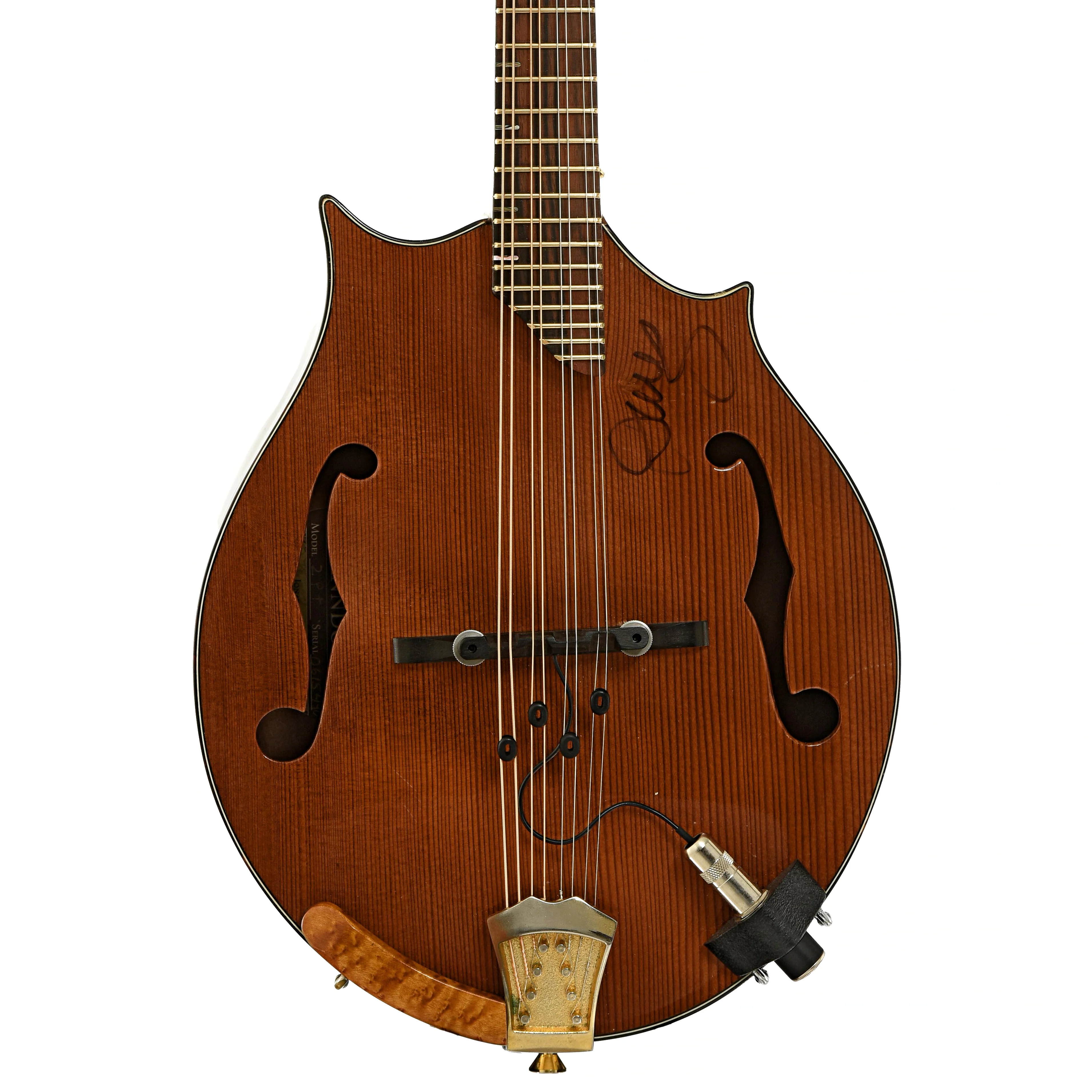 Mann 2PT Mandolin (2015)