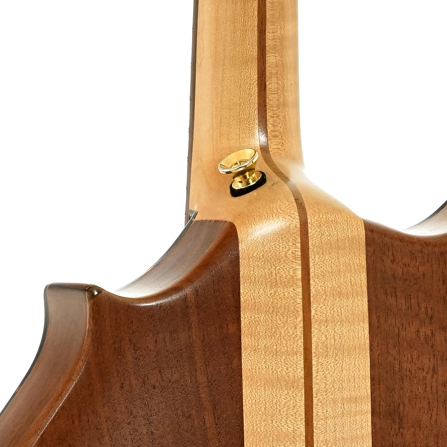 Mann 2PT Mandolin (2015) - Image 10
