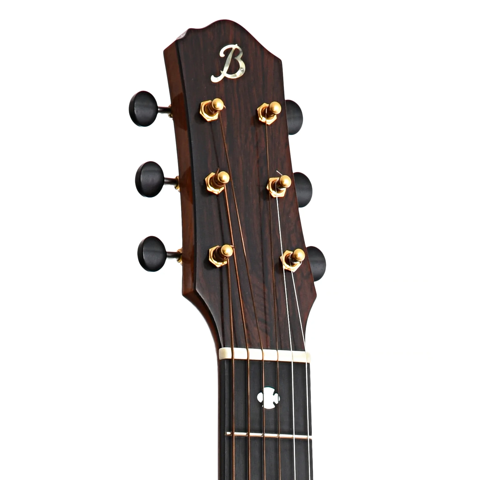 Beneteau Nick Lucas Model Dream Series Acoustic Guitar (2006) - Image 10