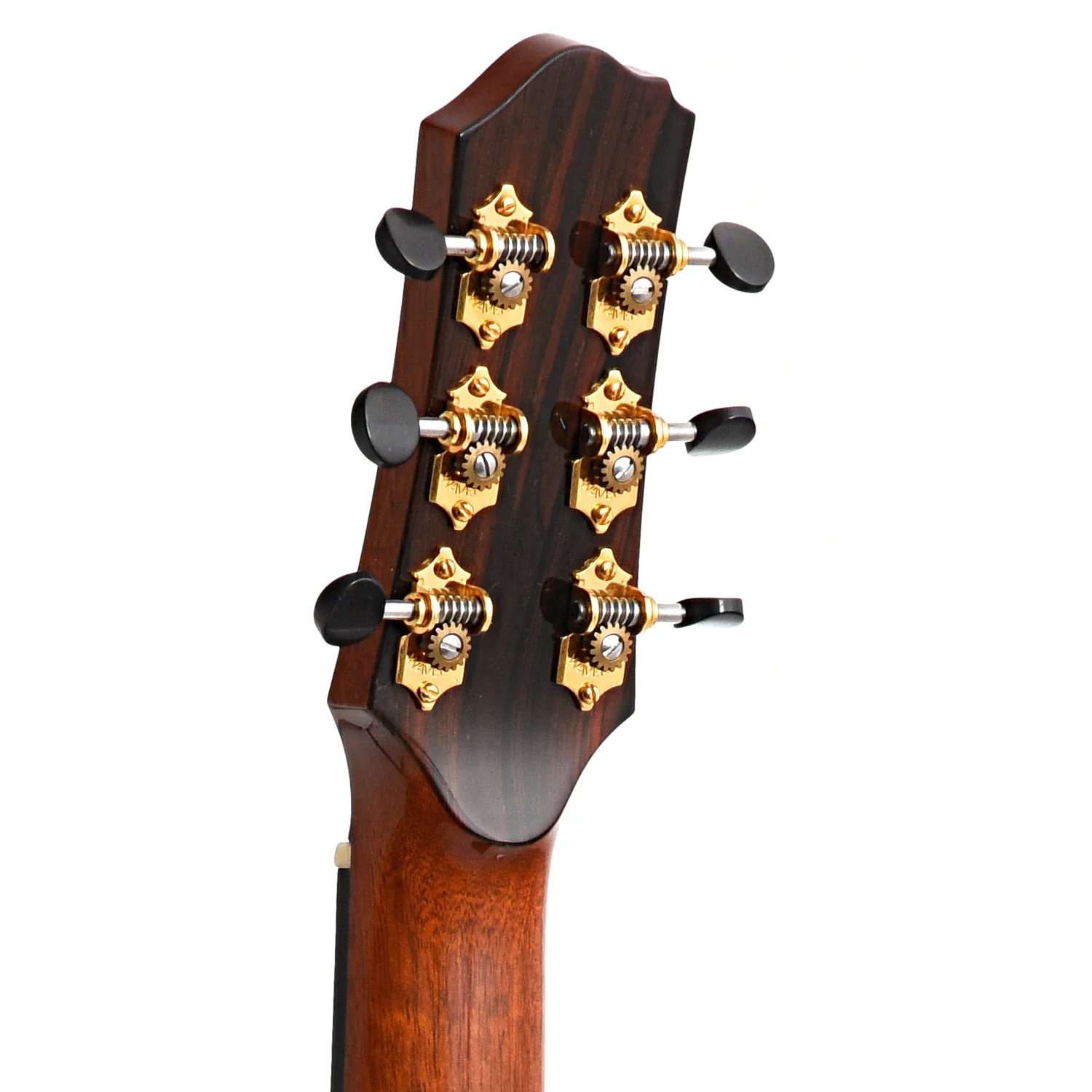 Beneteau Nick Lucas Model Dream Series Acoustic Guitar (2006) - Image 11