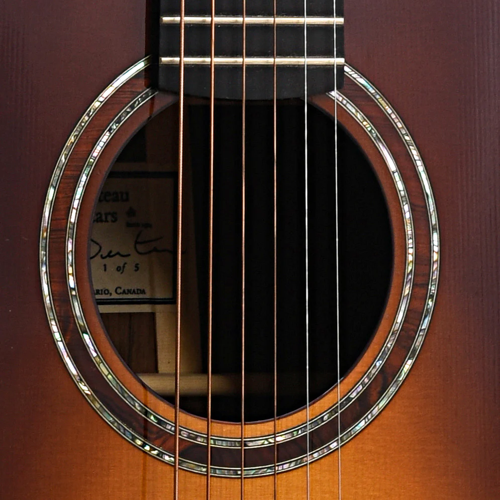 Beneteau Nick Lucas Model Dream Series Acoustic Guitar (2006) - Image 8