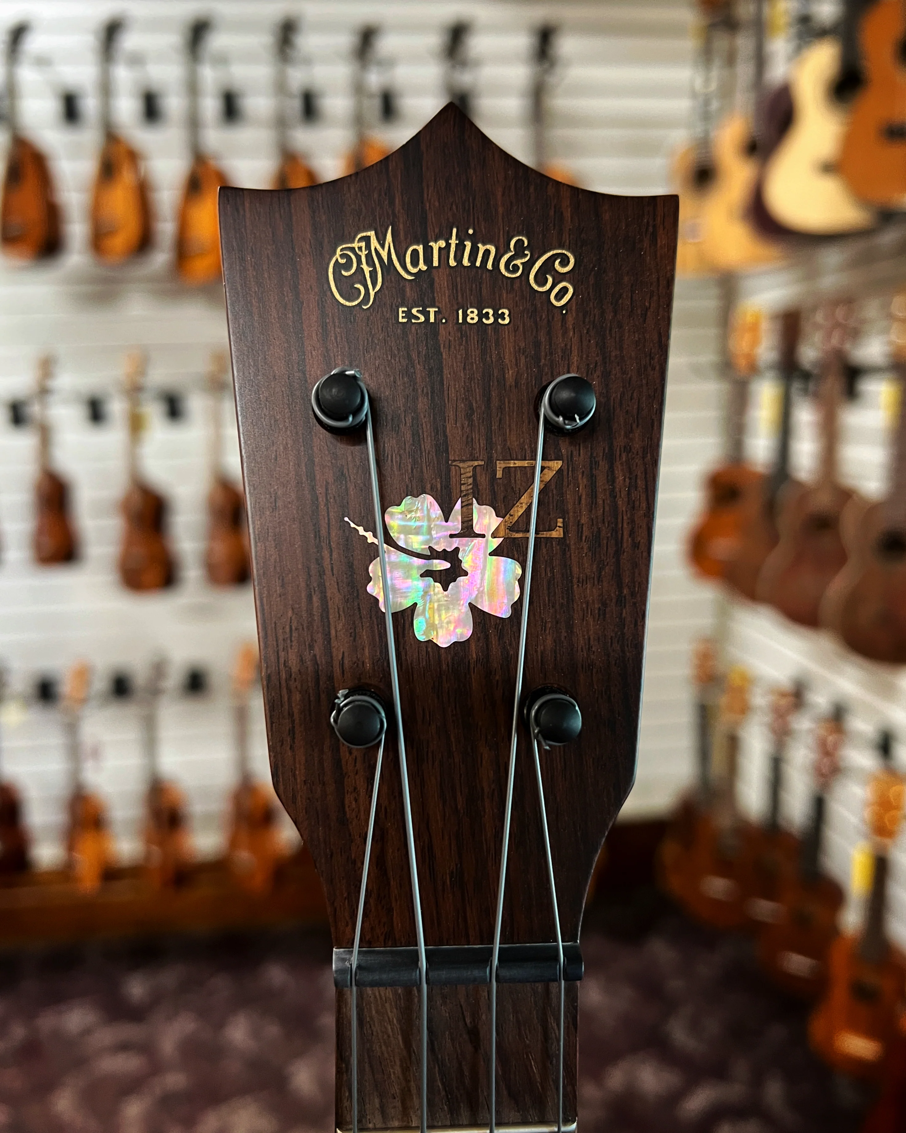 Martin 1T Iz Tenor Ukulele & Case, Israel Kamakawiwo'ole Commemorative Model - Image 14