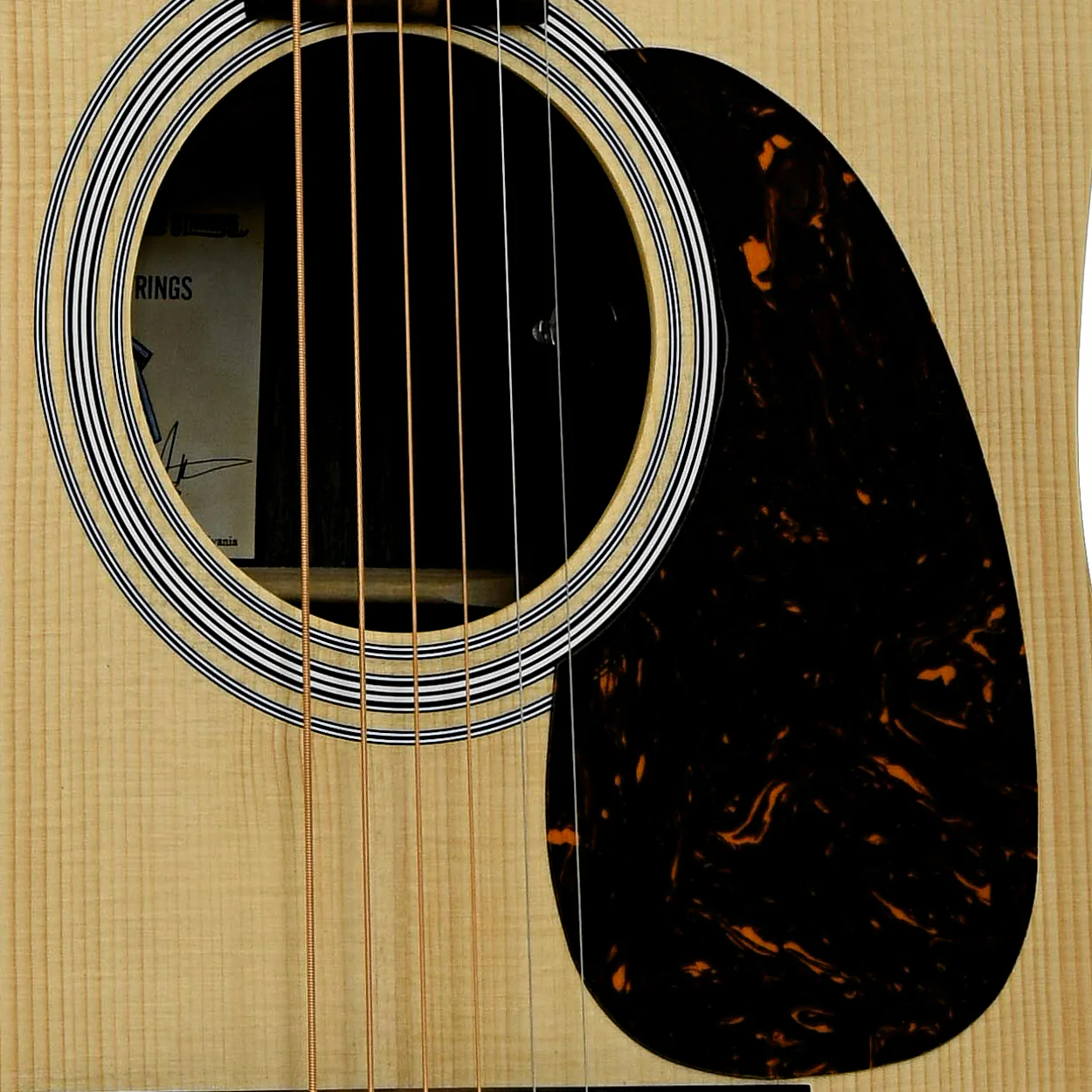 Martin D-X2E Billy Strings Acoustic Guitar & Gigbag - Image 6