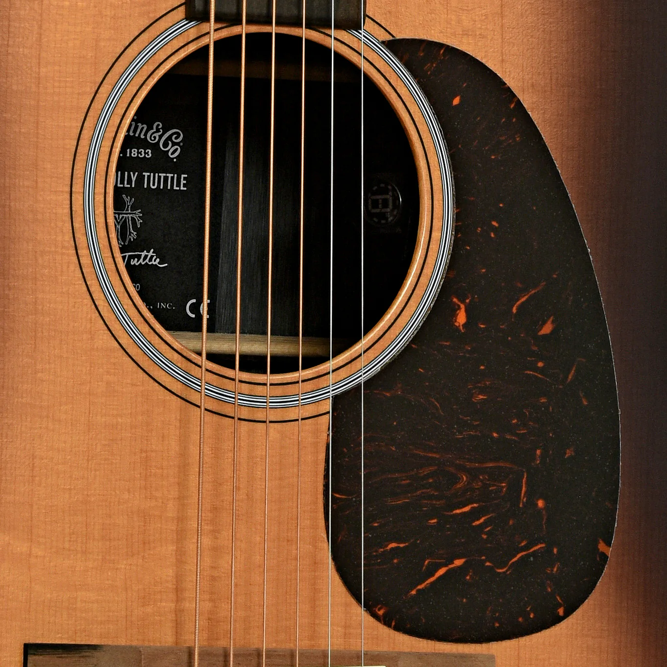 Martin D-X2E Molly Tuttle Guitar and Gigbag - Image 6