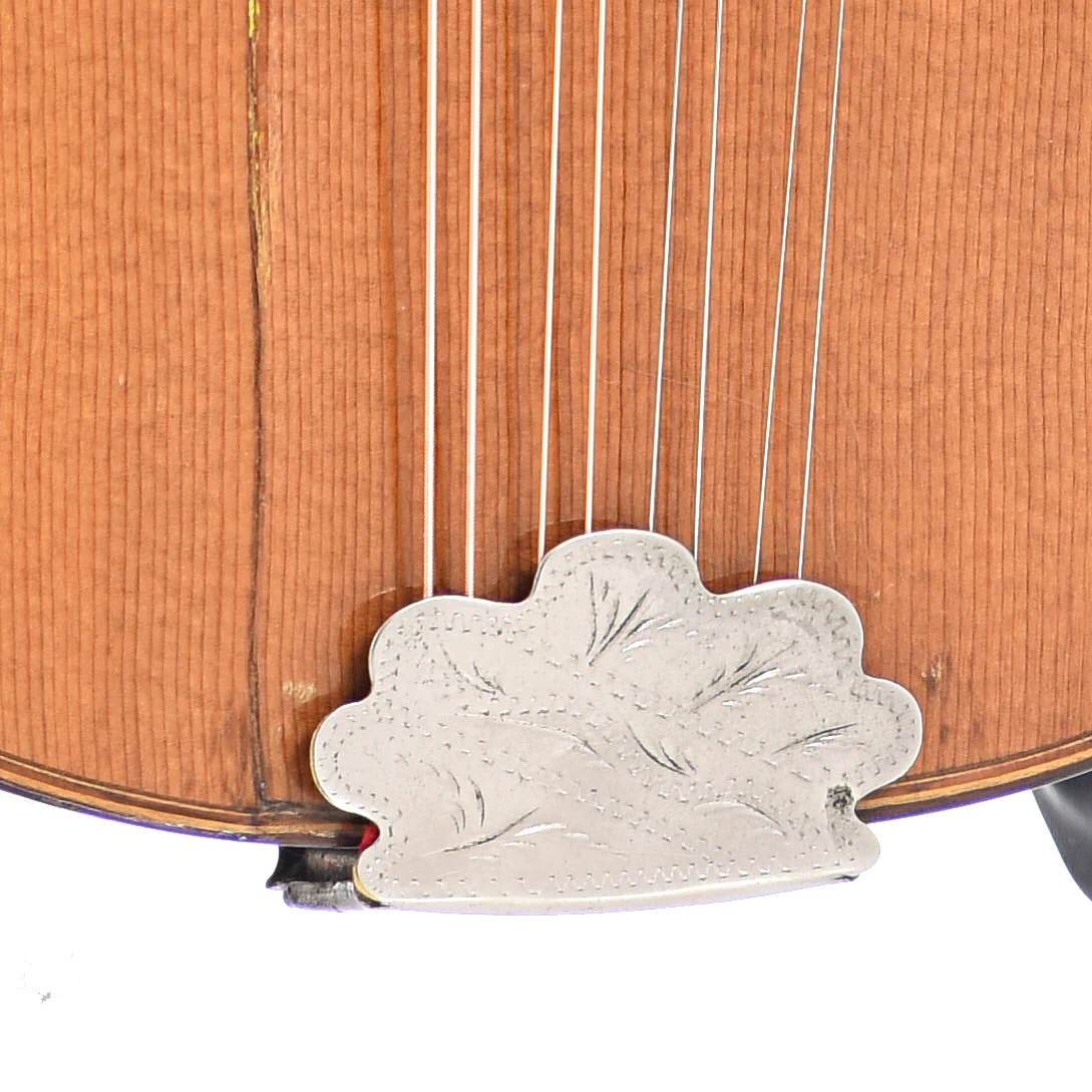 Martin Style B Mandolin (1919) - Image 5