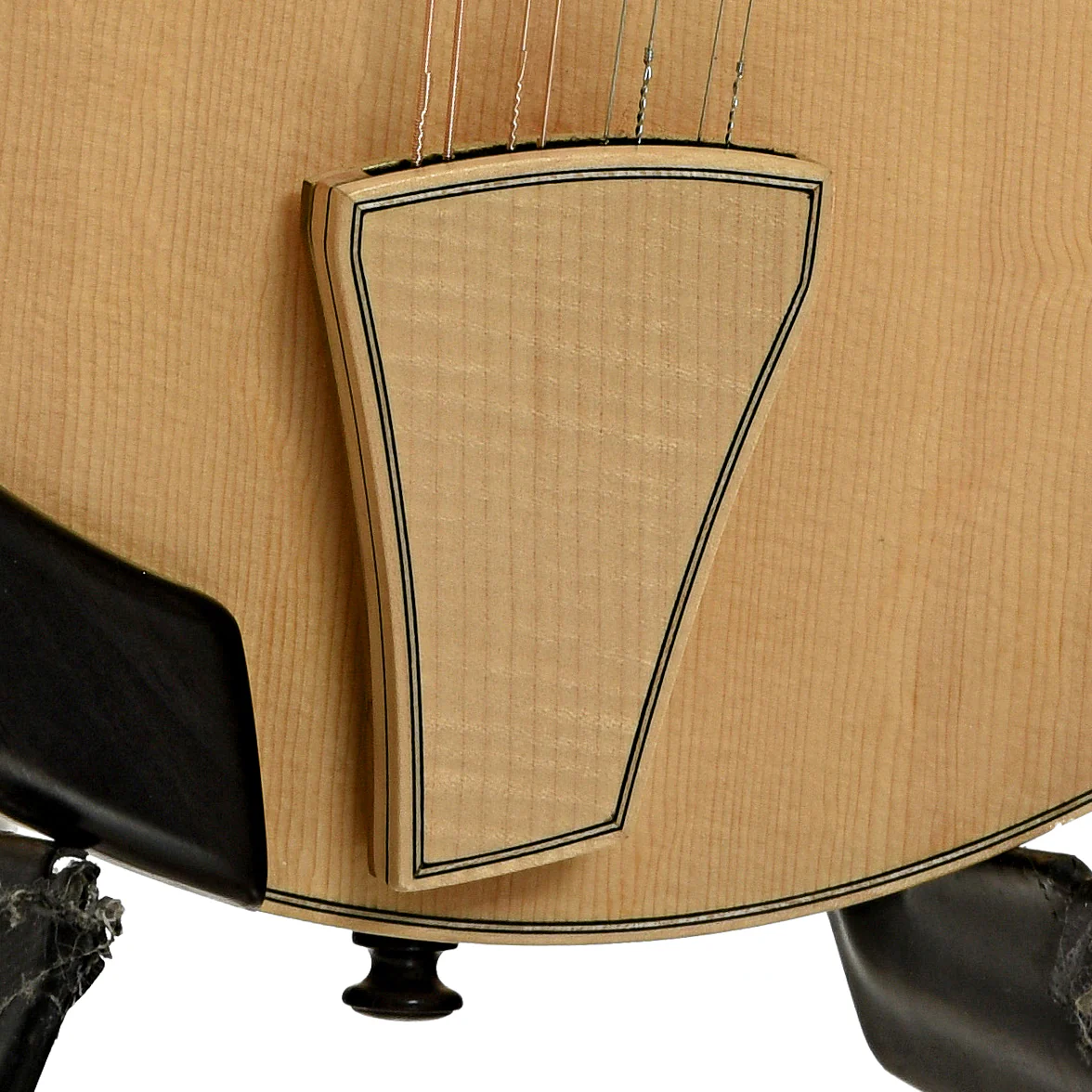 Martino Quintavalla F-Jazz Mandolin & Case - Image 5