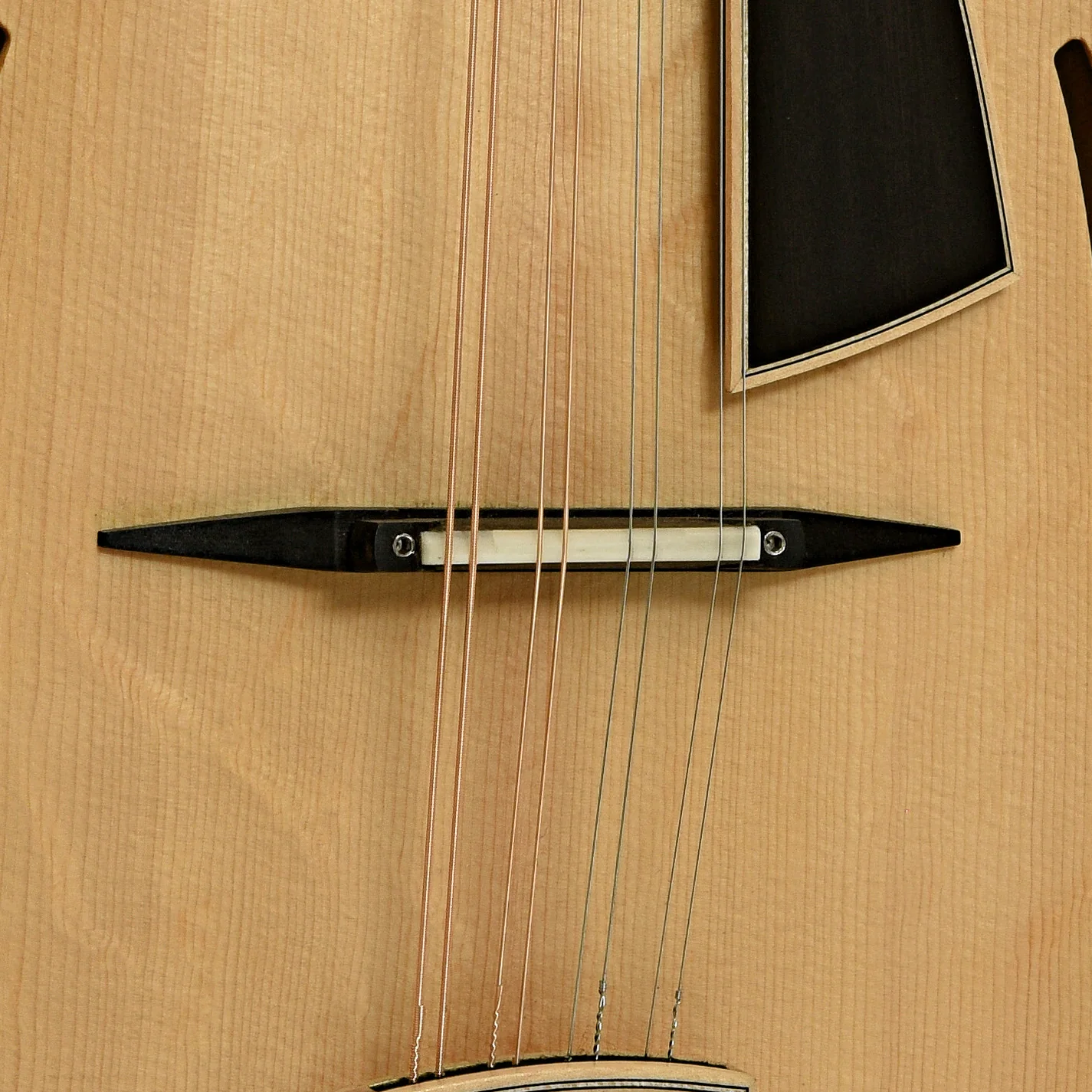 Martino Quintavalla F-Jazz Mandolin & Case - Image 6