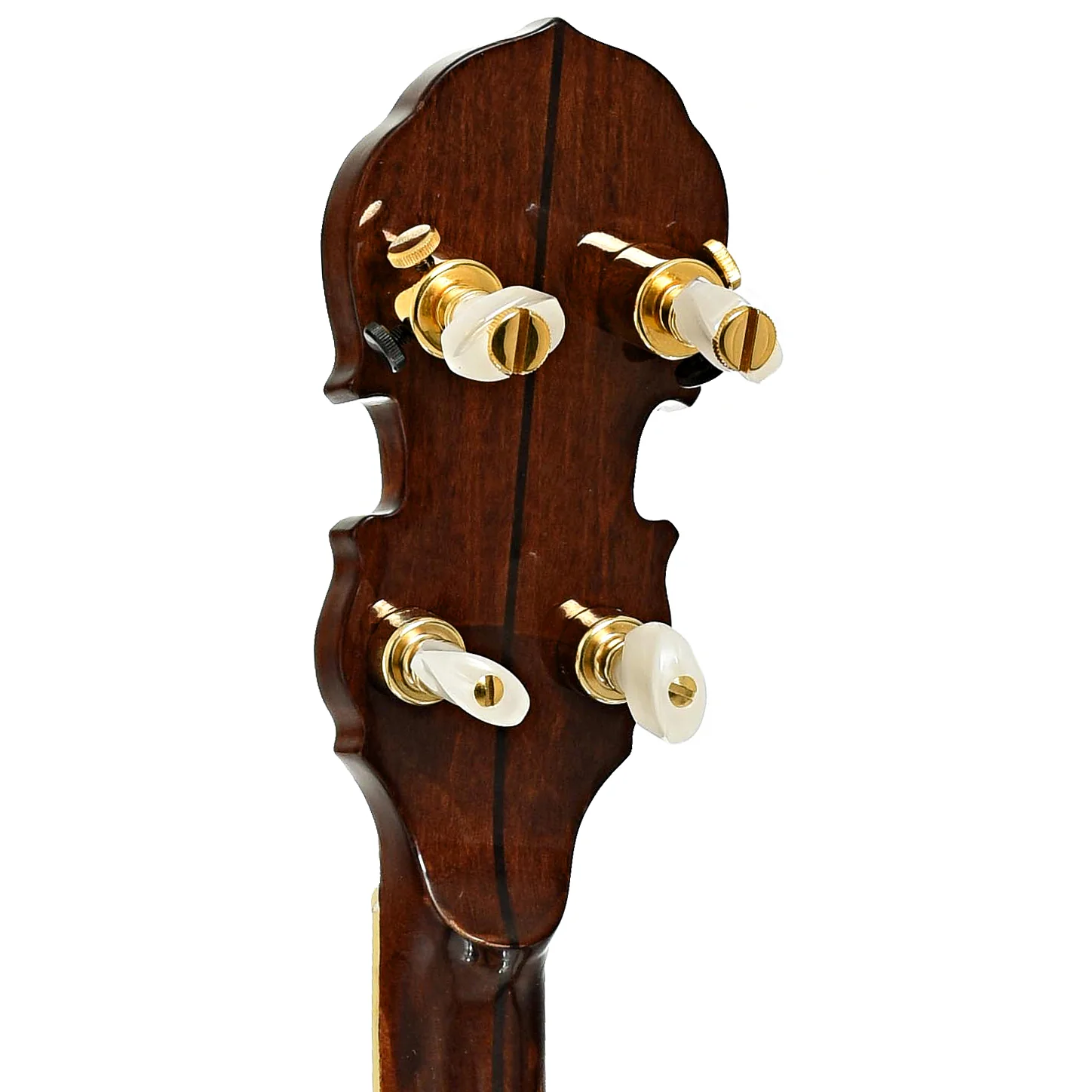 Masterpiece Hearts and Flowers Gold Resonator Banjo (1970's) - Image 9