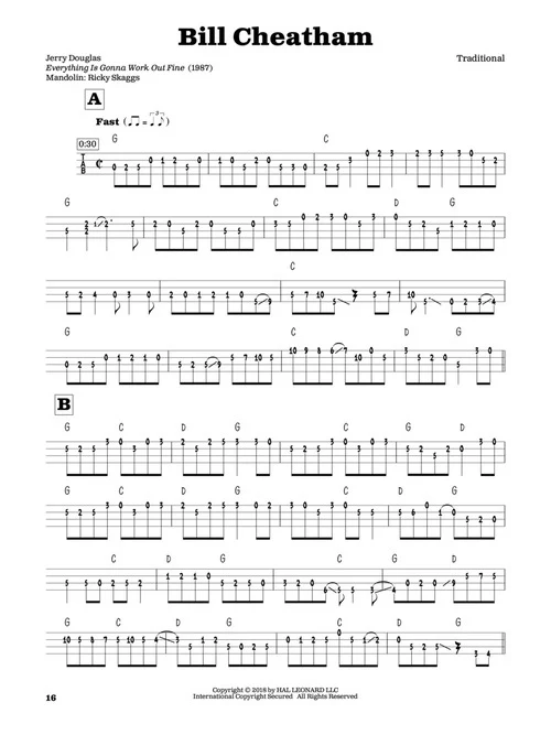 Masters of the Mandolin - 130 of the Greatest Bluegrass and Newgrass Solos - Image 6
