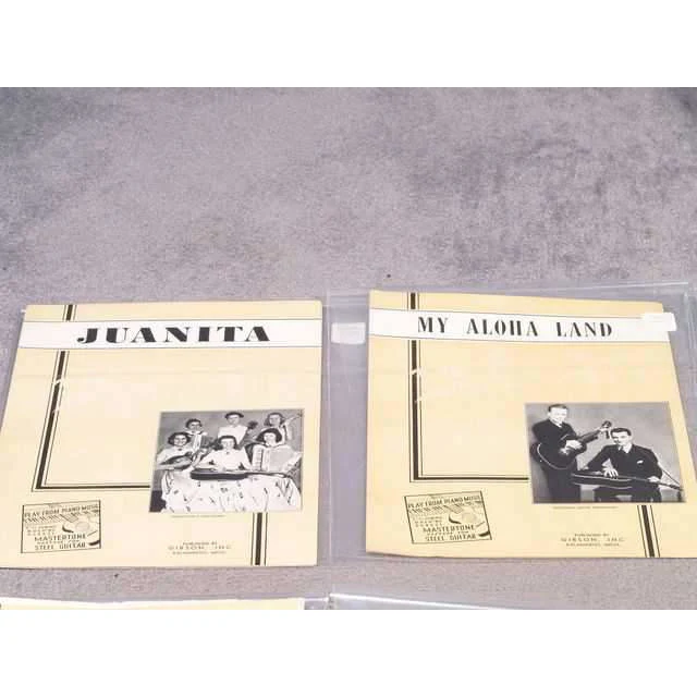 Mastertone System for Steel Guitar - Image 11