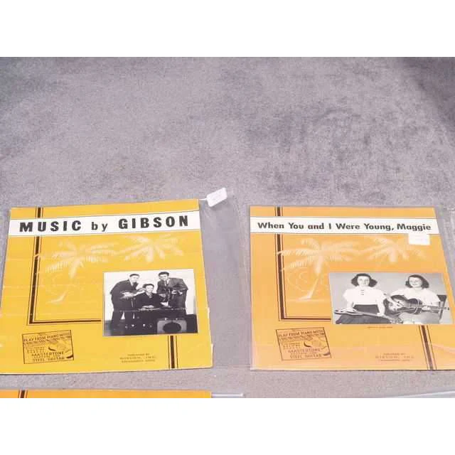 Mastertone System for Steel Guitar - Image 13
