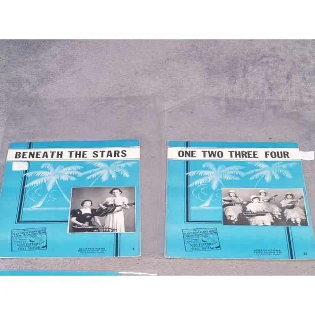 Mastertone System for Steel Guitar - Image 19