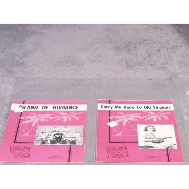 Mastertone System for Steel Guitar - Image 25