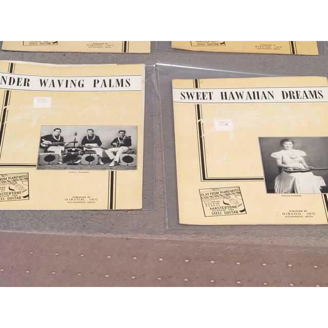 Mastertone System for Steel Guitar - Image 28