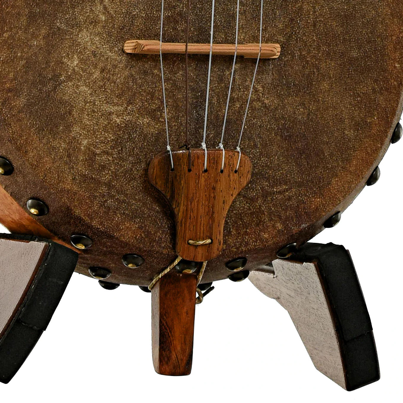 Menzies Fretless Gourd Banjo (2023) - Image 5