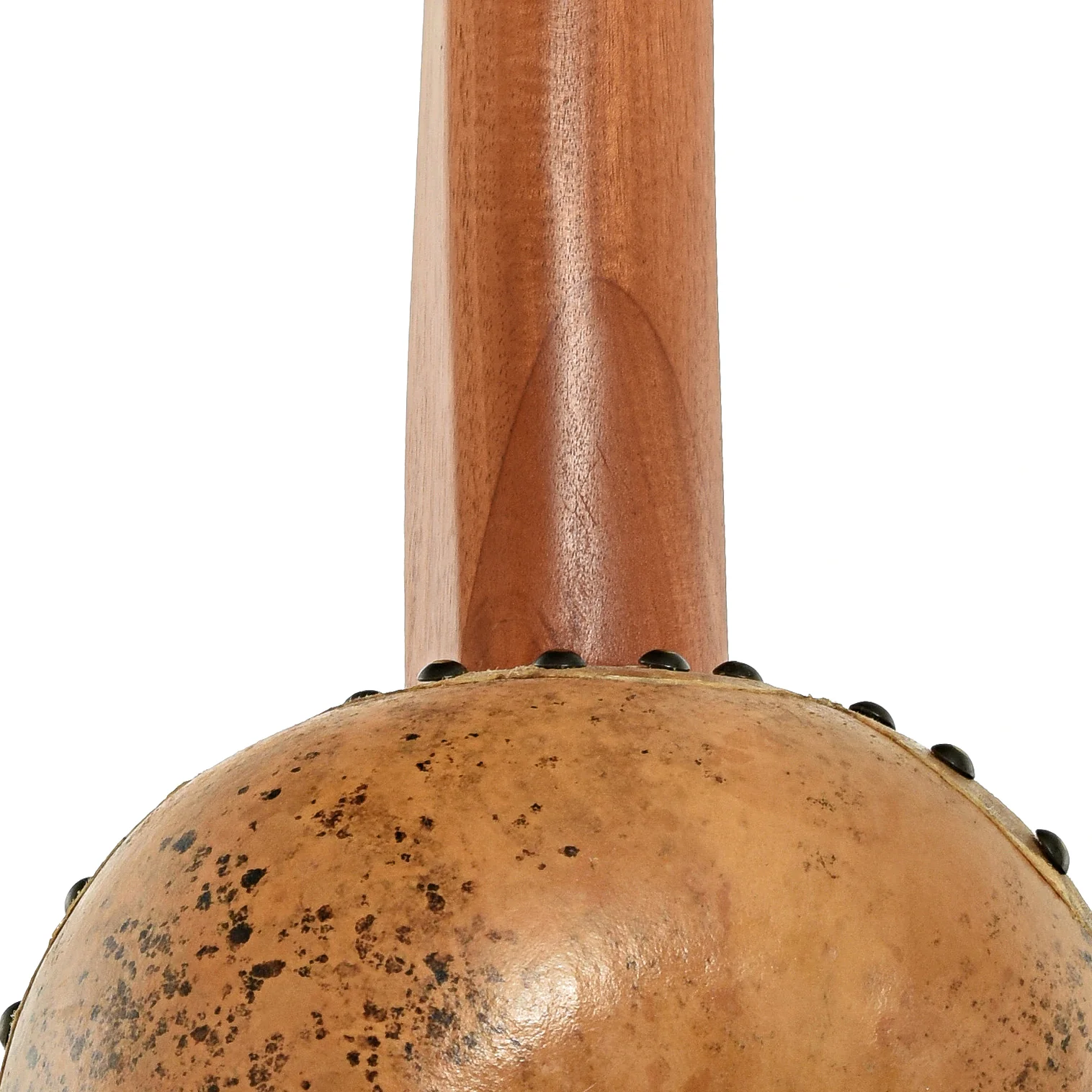 Menzies Fretless Gourd Banjo #601 - Image 10