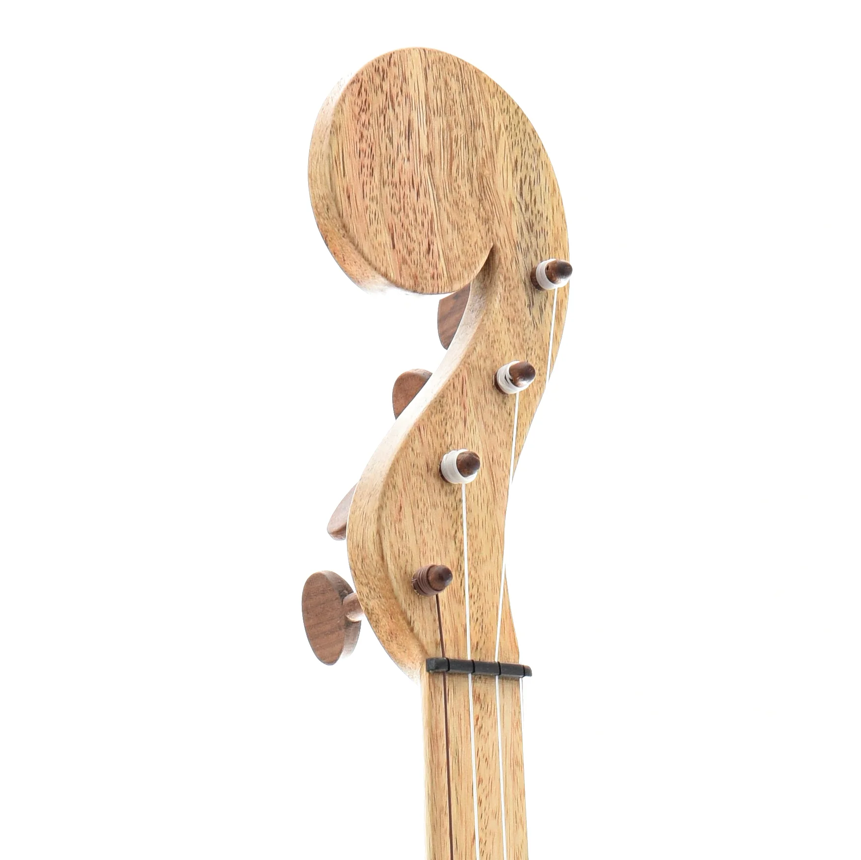 Menzies Fretless Tackhead Banjo, #402 - Image 6