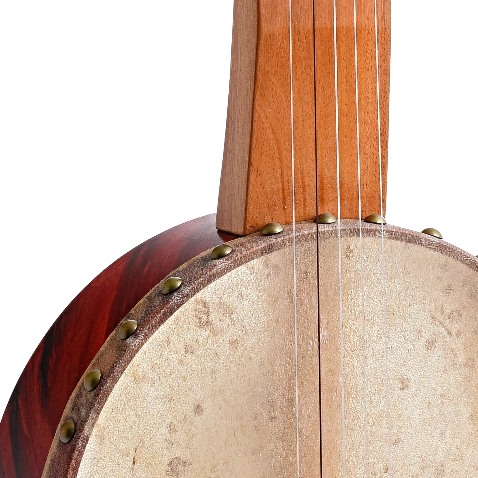 Menzies Fretless Tackhead Banjo, #446 - Image 4