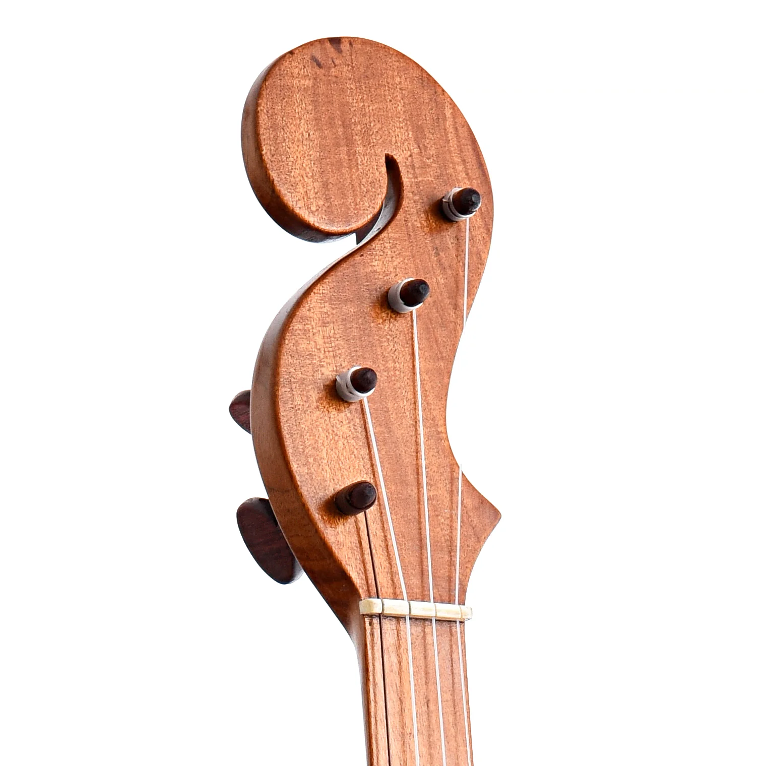 Menzies Fretless Tackhead Banjo, #447 - Image 6