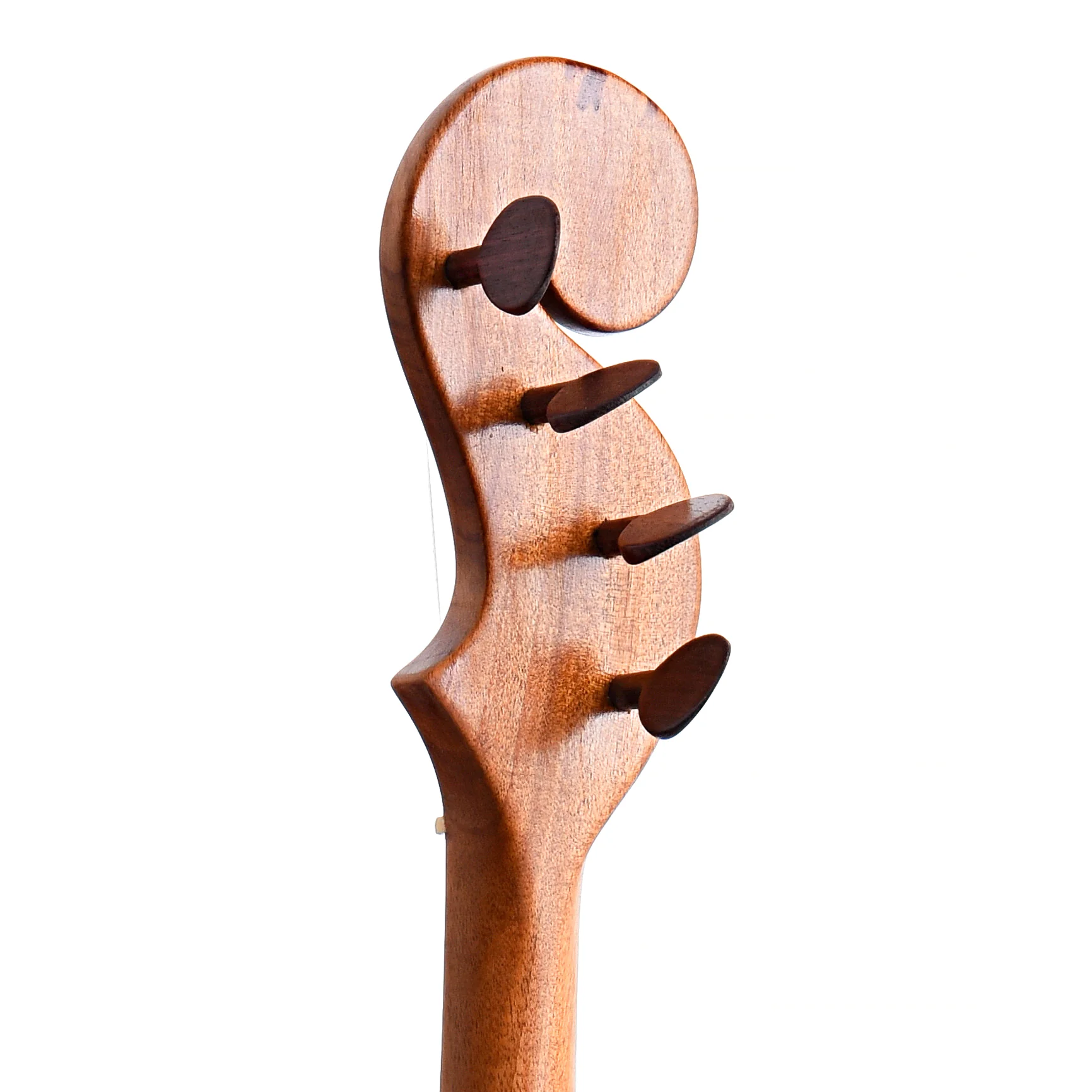 Menzies Fretless Tackhead Banjo, #447 - Image 7