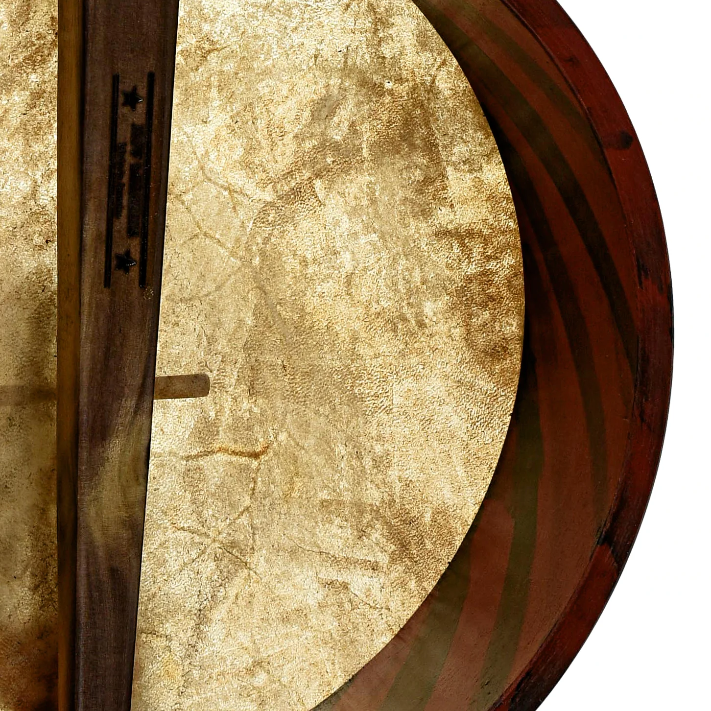 Menzies Fretless Tackhead Banjo #587 - Image 11