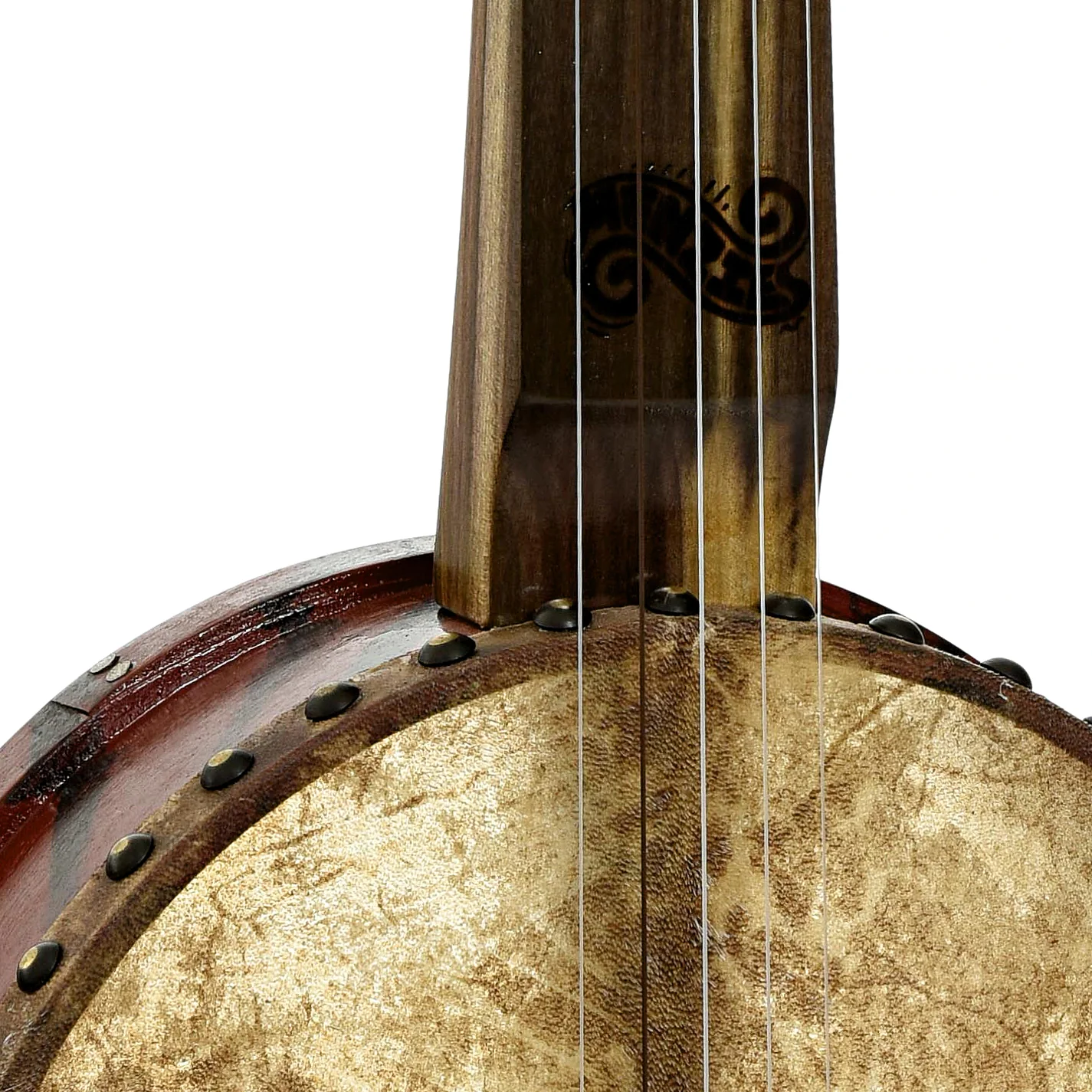Menzies Fretless Tackhead Banjo #587 - Image 4