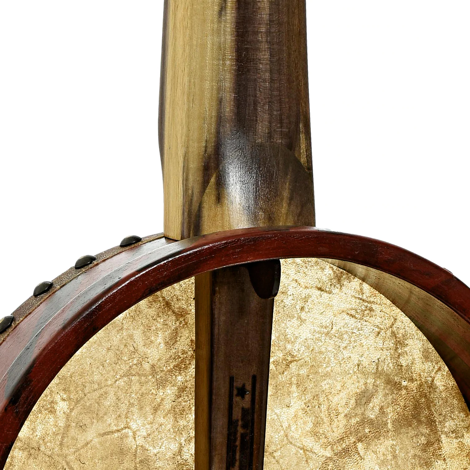 Menzies Fretless Tackhead Banjo #587 - Image 8