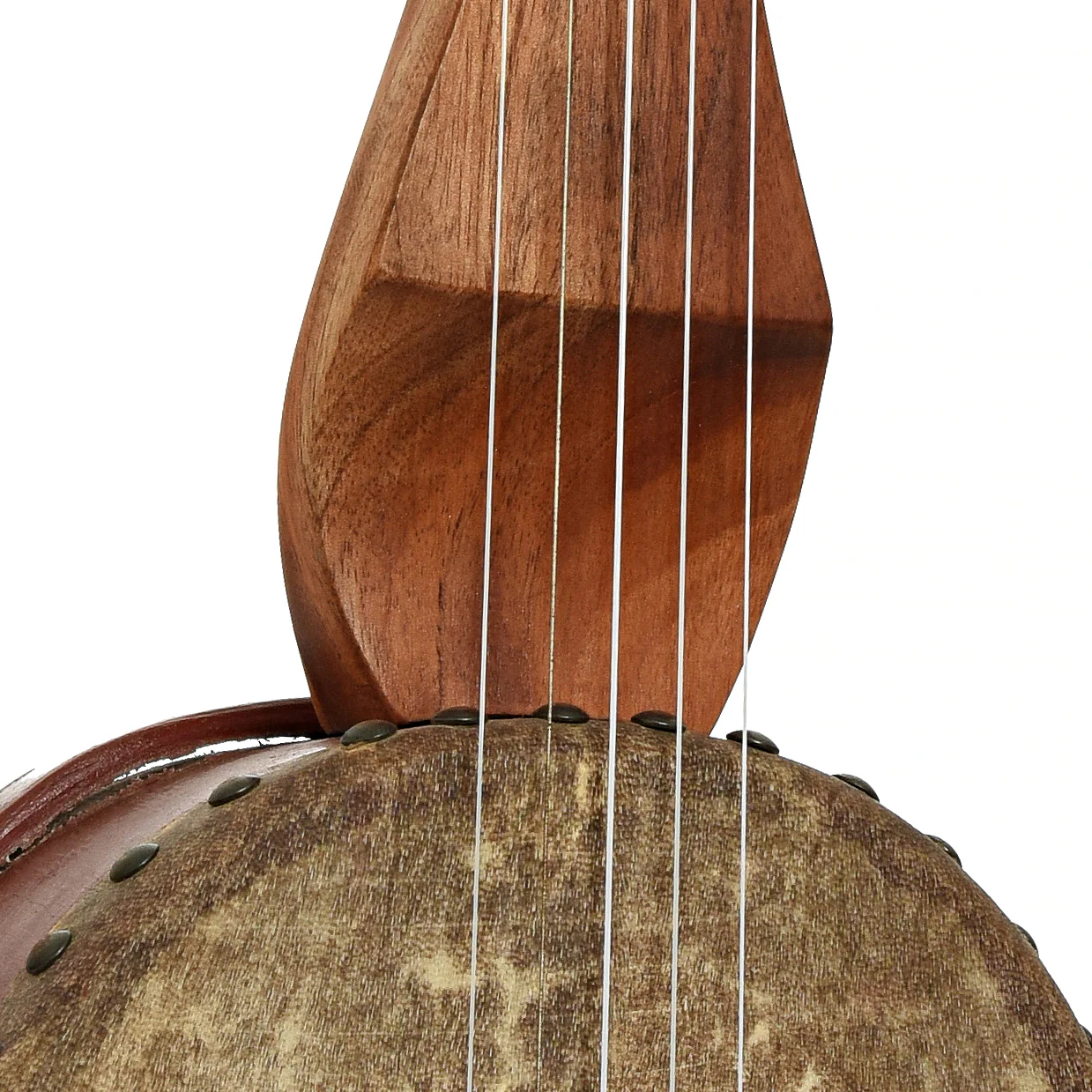 Menzies Fretless Tackhead Banjo #596 - Image 6