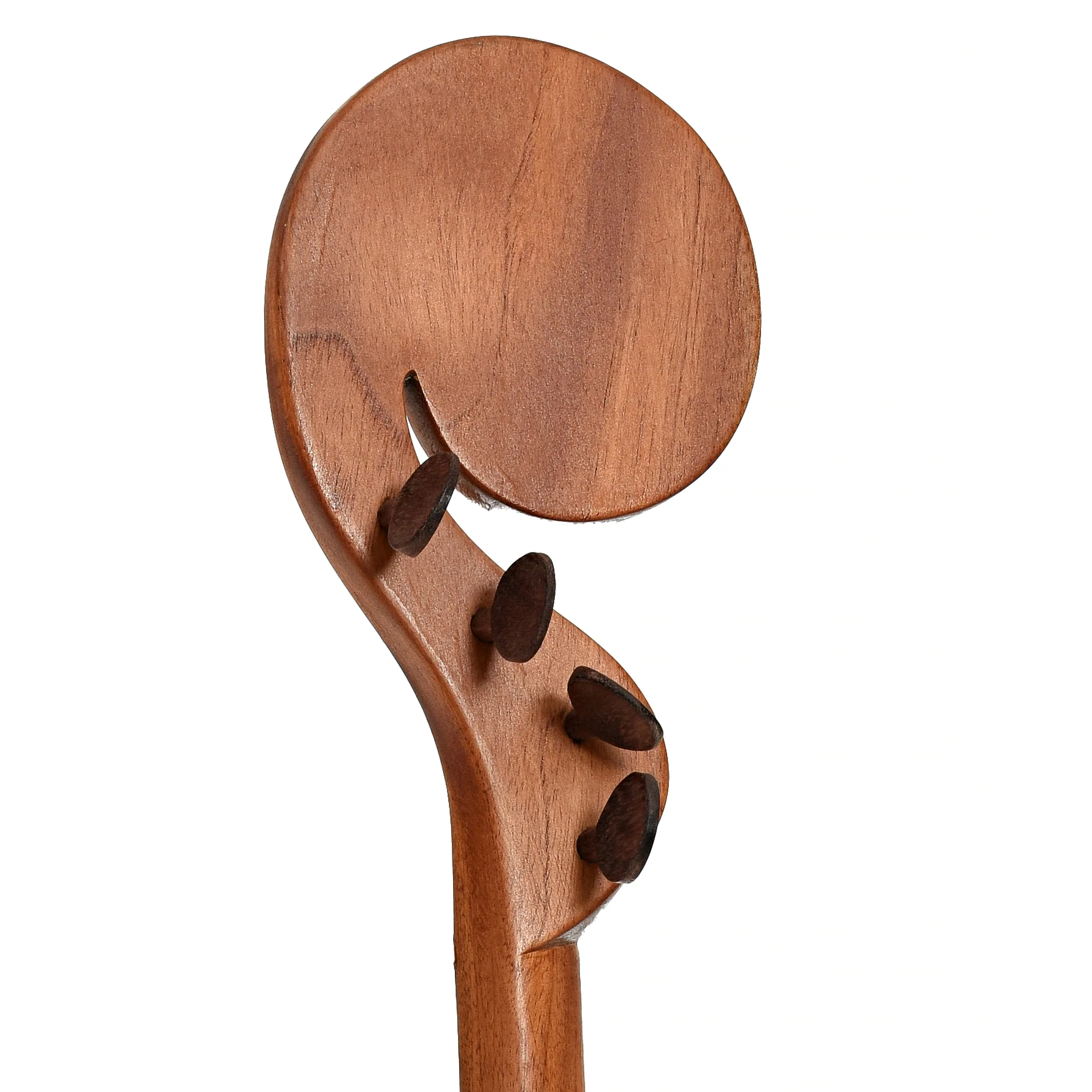 Menzies Fretless Tackhead Banjo #596 - Image 9