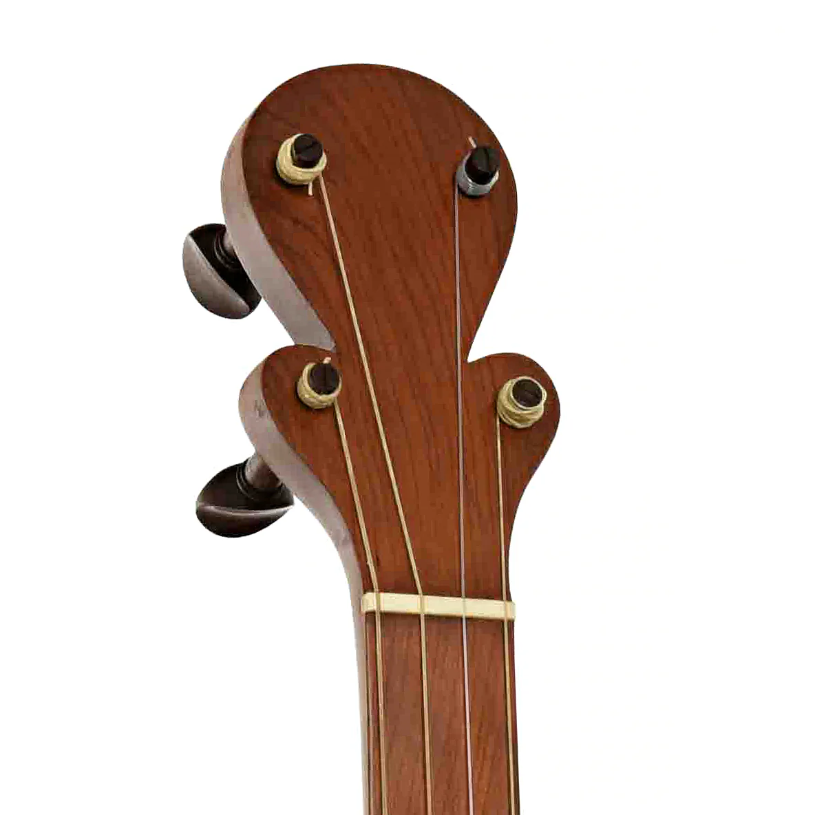 Menzies Mike Seeger Grain Measure Tack Head Banjo (c.2003) - Image 8