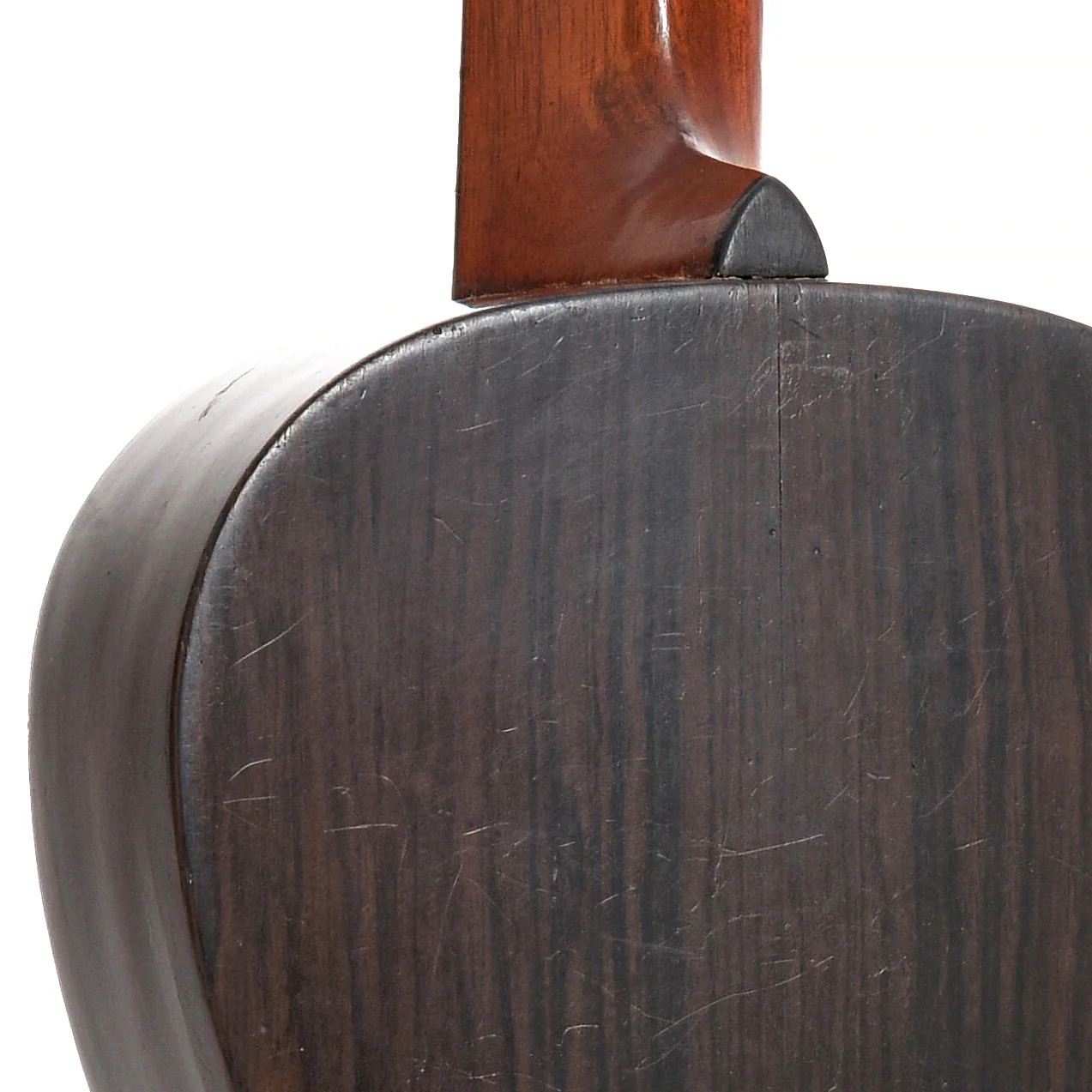 Regal Parlor Guitar (UNMARKED) (c.1900) - Image 10