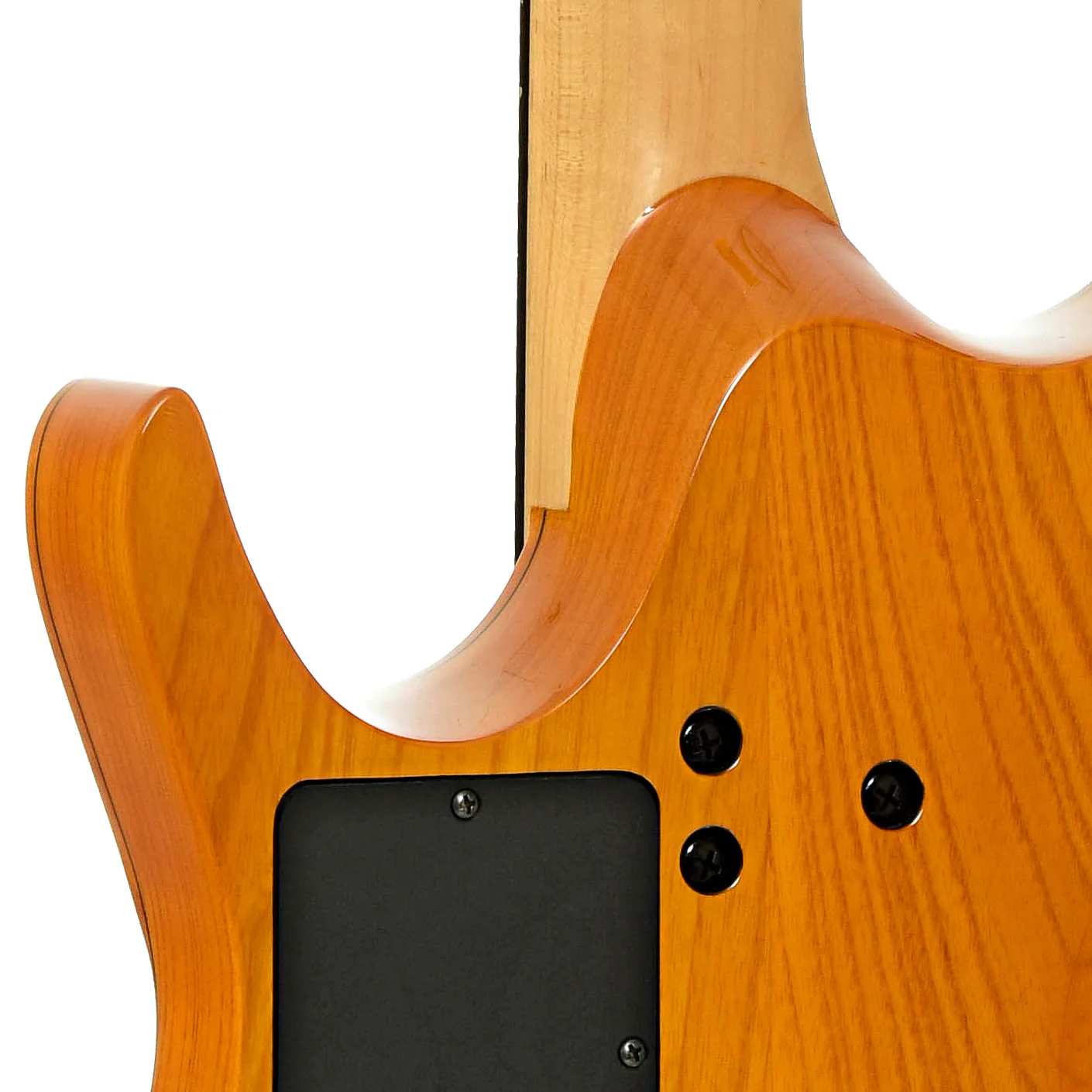 Moog E-1 Paul Vo Collector's Edition Electric Guitar (2008) - Image 10