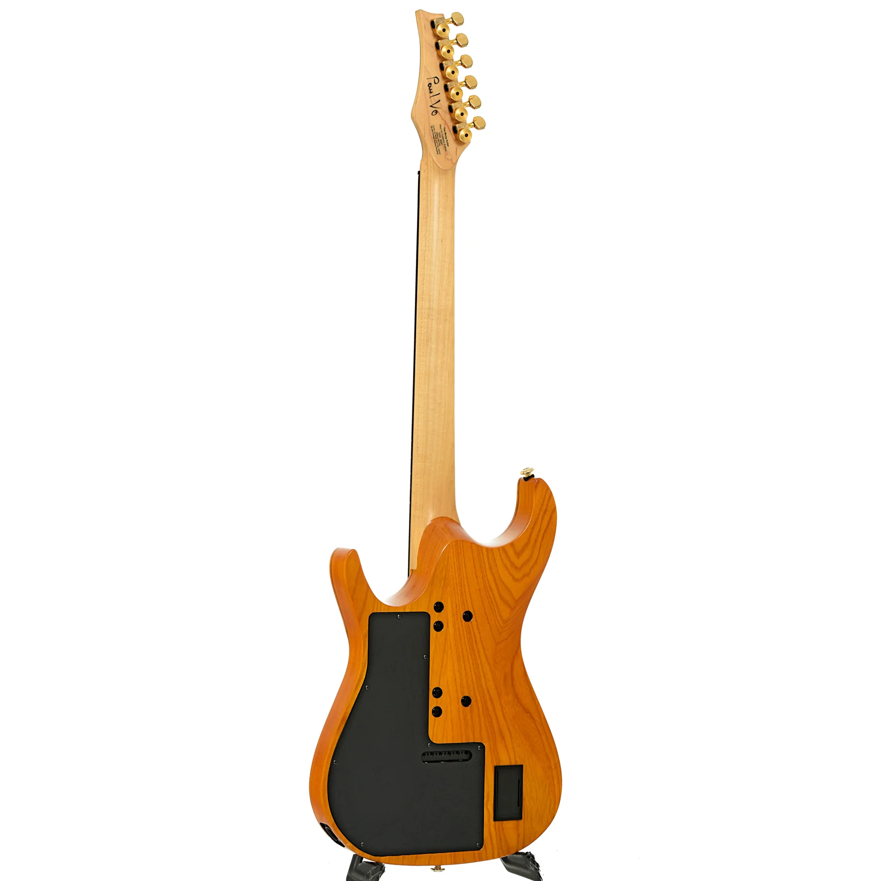 Moog E-1 Paul Vo Collector's Edition Electric Guitar (2008) - Image 12