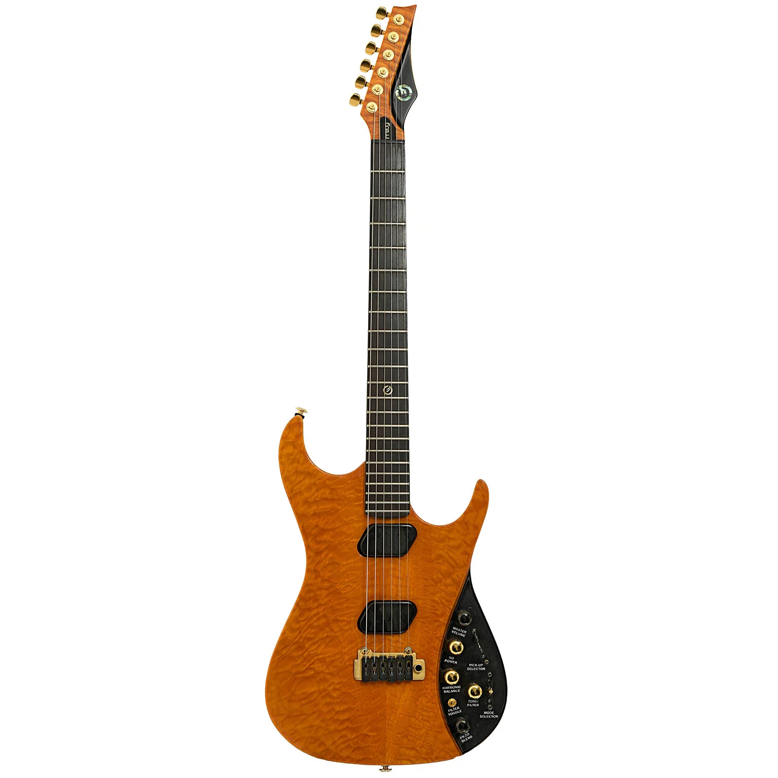 Moog E-1 Paul Vo Collector's Edition Electric Guitar (2008) - Image 15