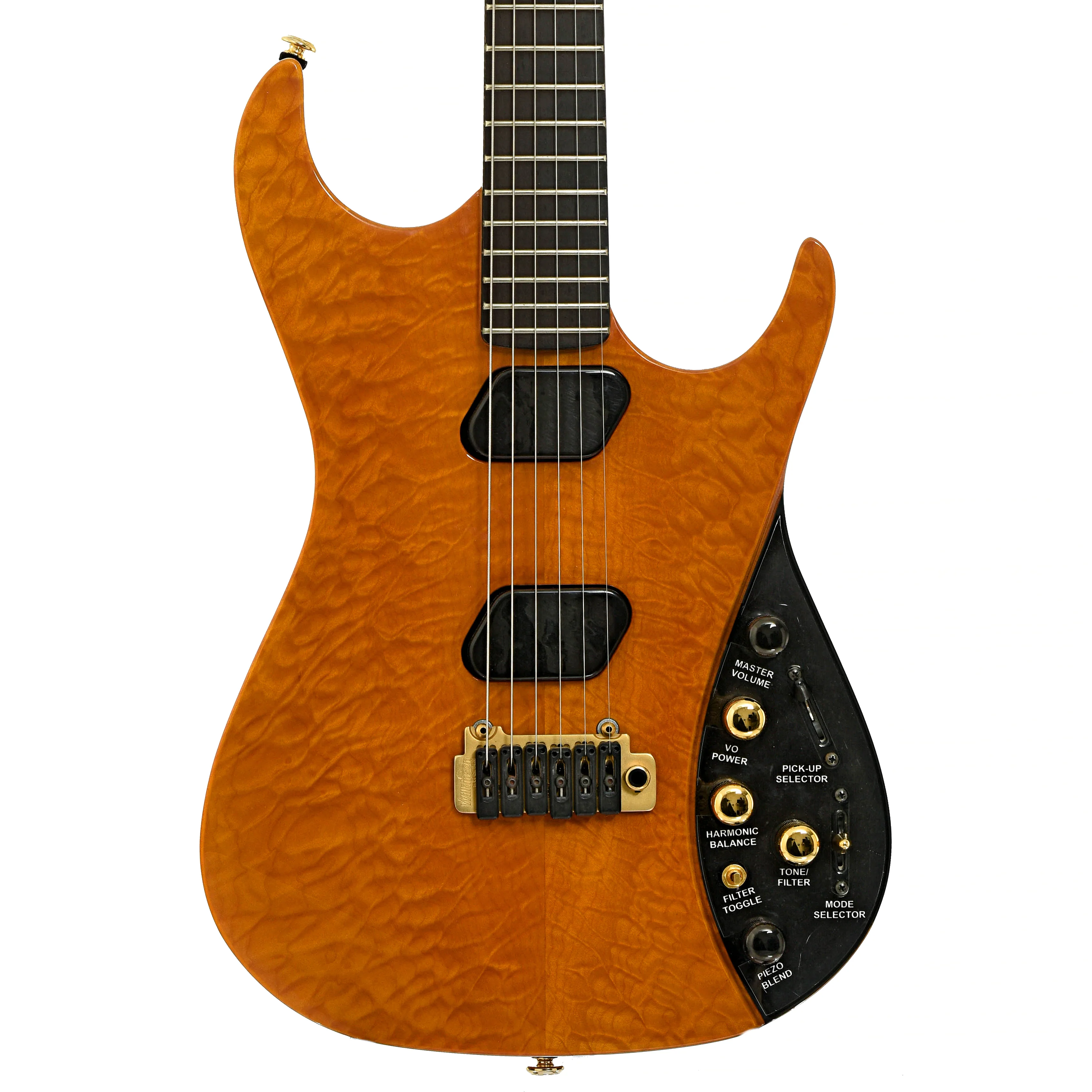 Moog E-1 Paul Vo Collector's Edition Electric Guitar (2008) - Image 2