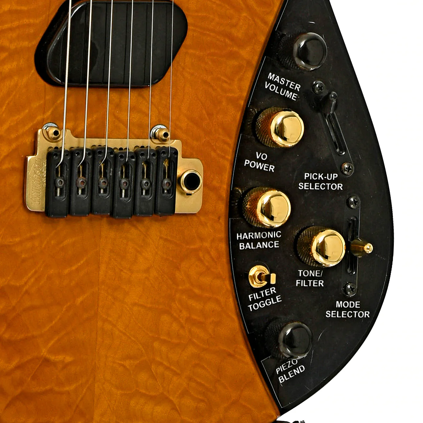 Moog E-1 Paul Vo Collector's Edition Electric Guitar (2008) - Image 5