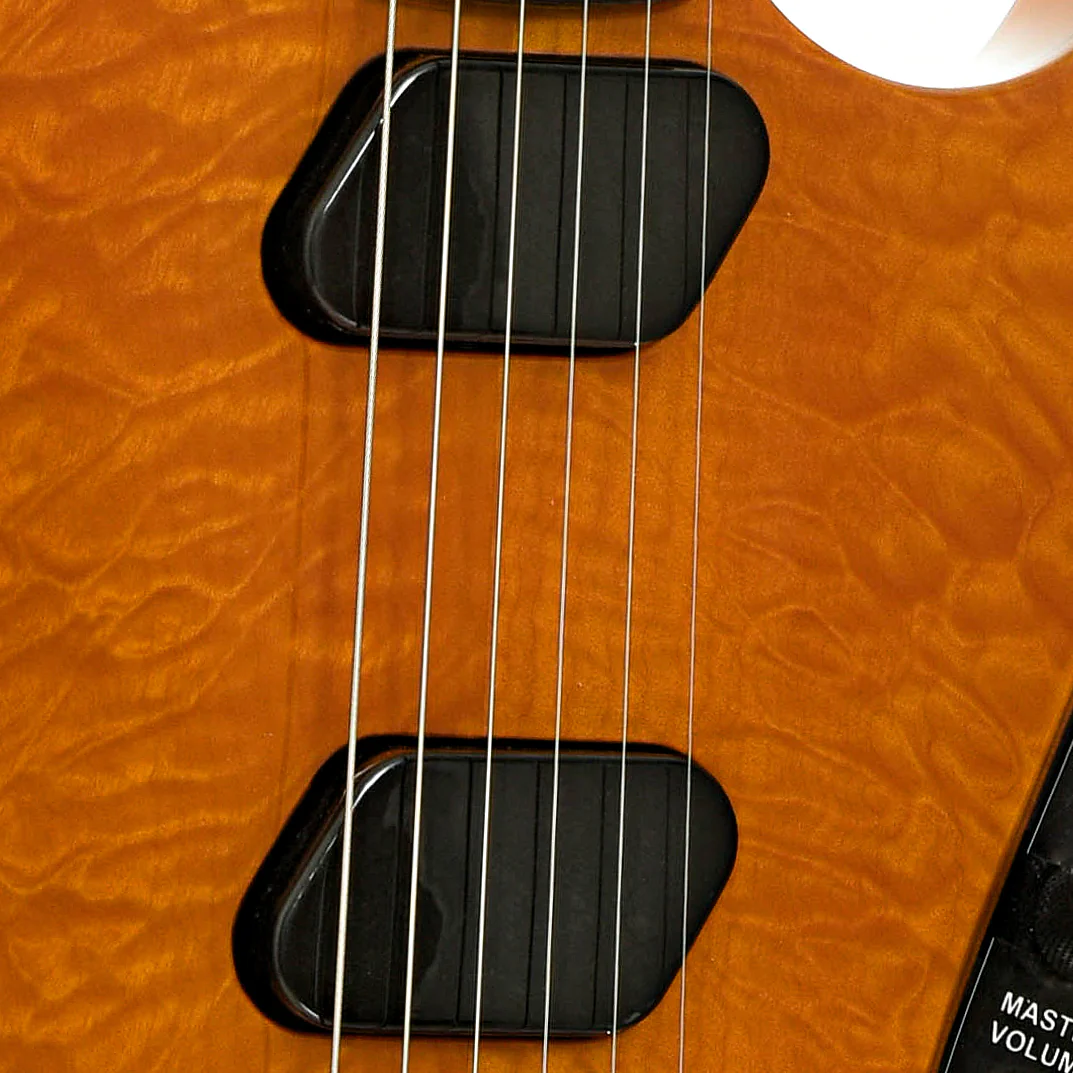 Moog E-1 Paul Vo Collector's Edition Electric Guitar (2008) - Image 6
