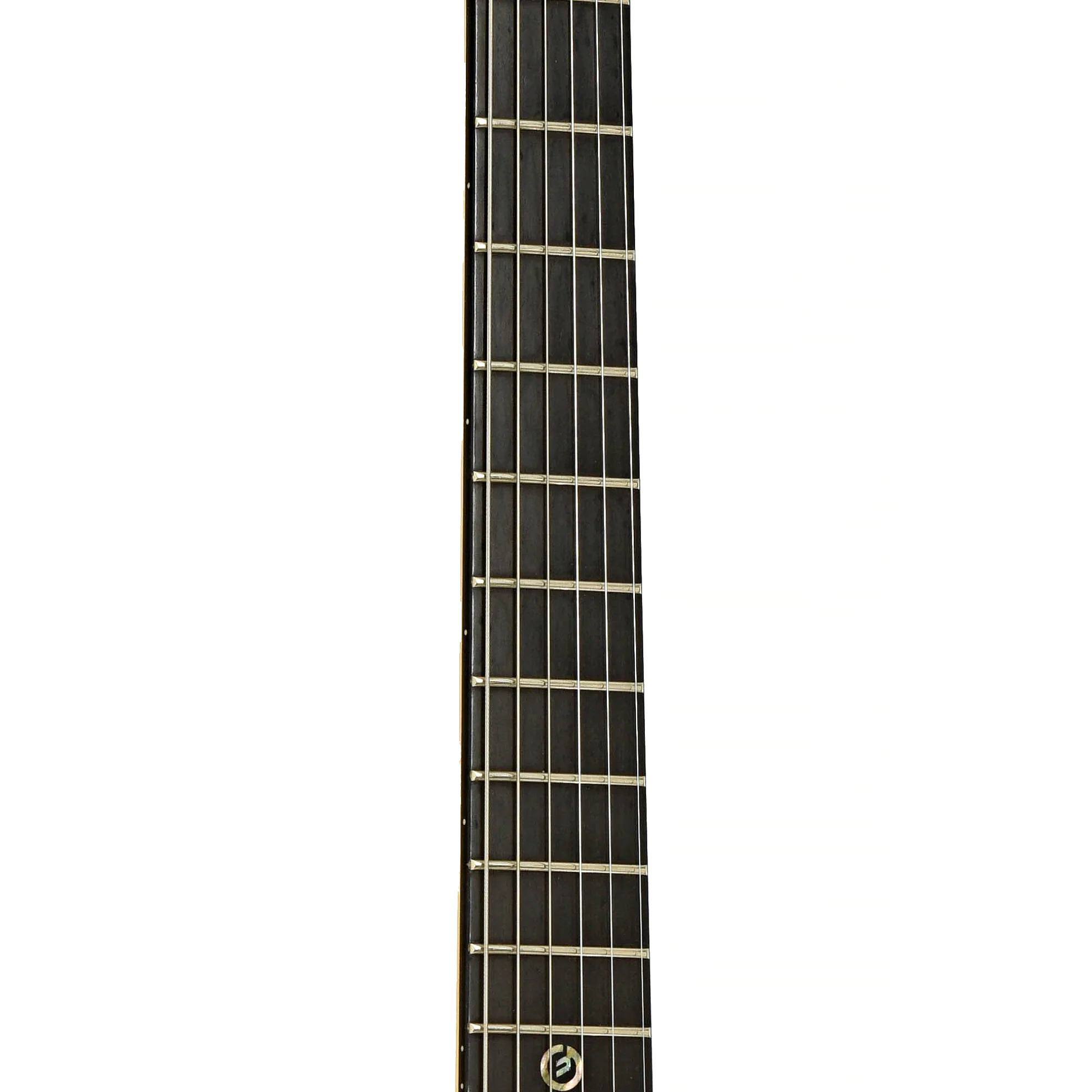 Moog E-1 Paul Vo Collector's Edition Electric Guitar (2008) - Image 7
