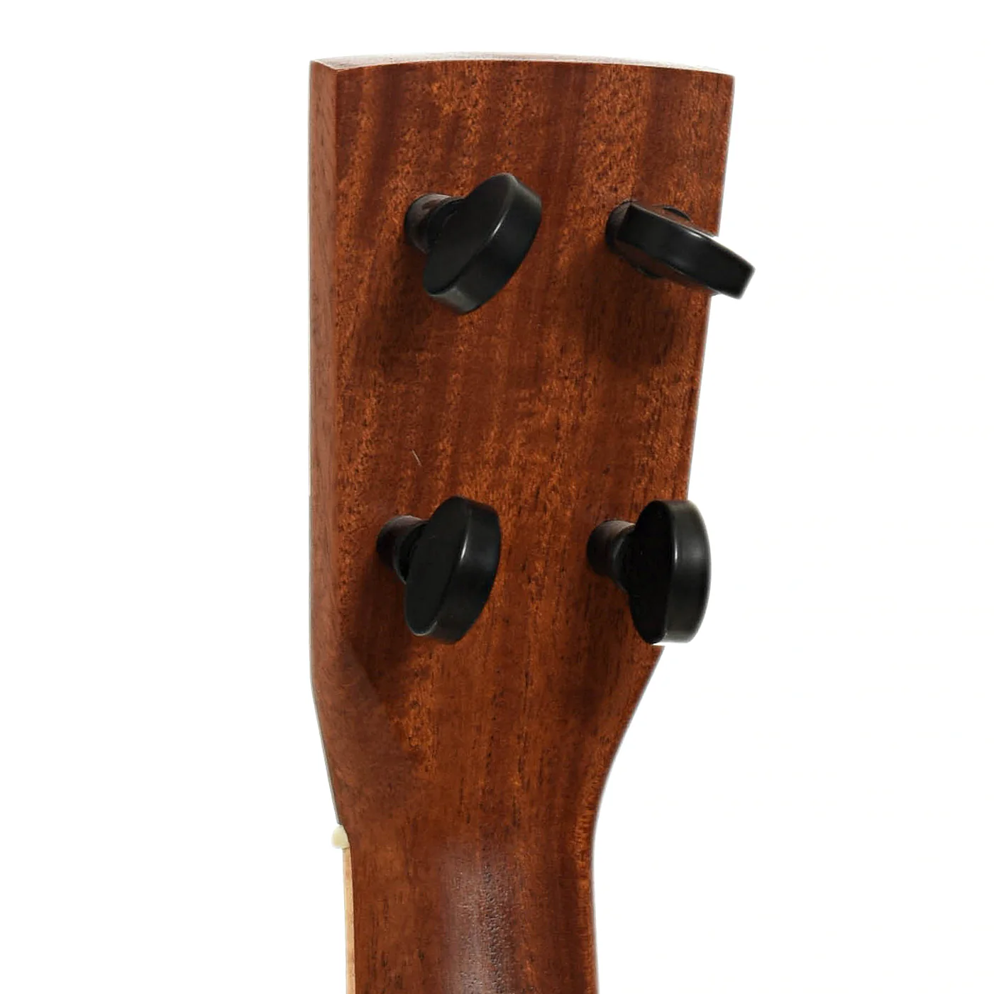 Mya-Moe Resonator Tenor Ukulele (2022) - Image 9
