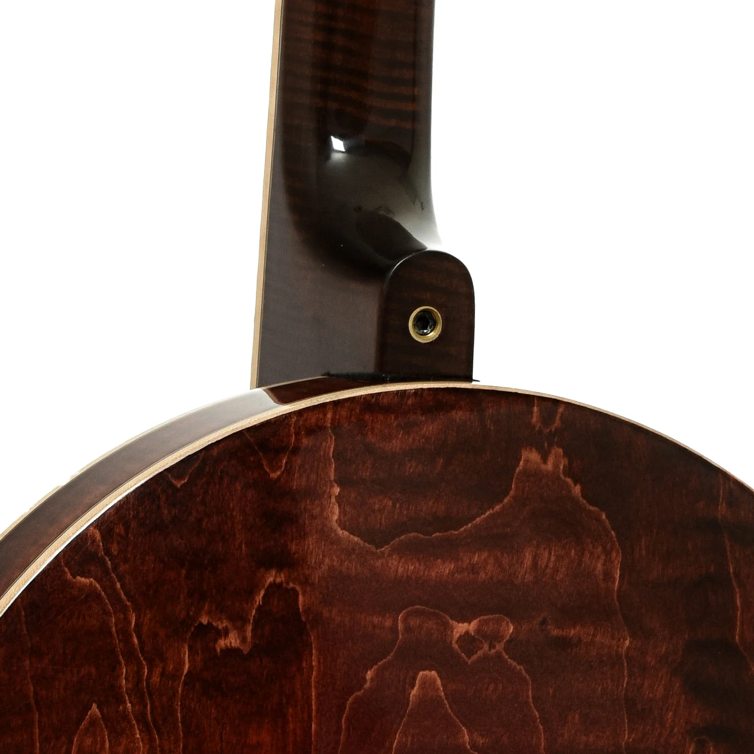 Nechville Orion Resonator Banjo (2021) - Image 12